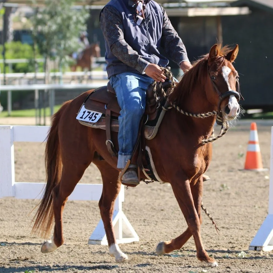 Entertainment and Burden