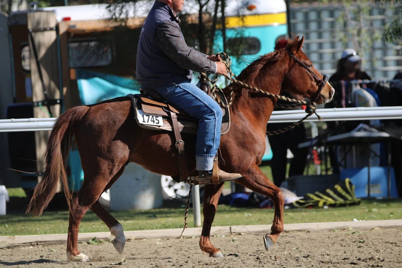 hansenhorse21.JPG
