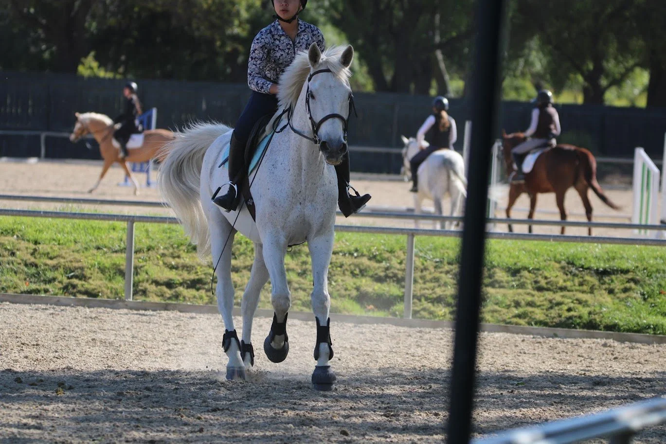 hansenhorse19.JPG