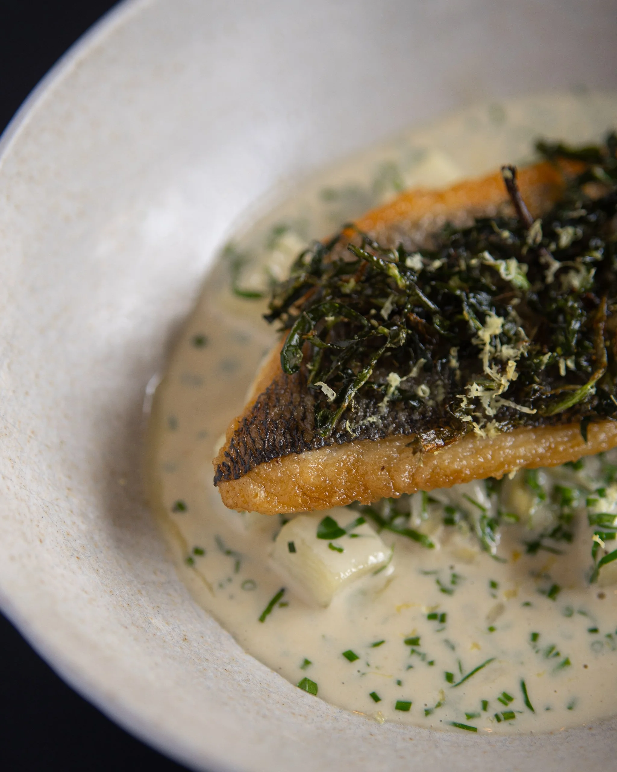 Fish-4.jpg