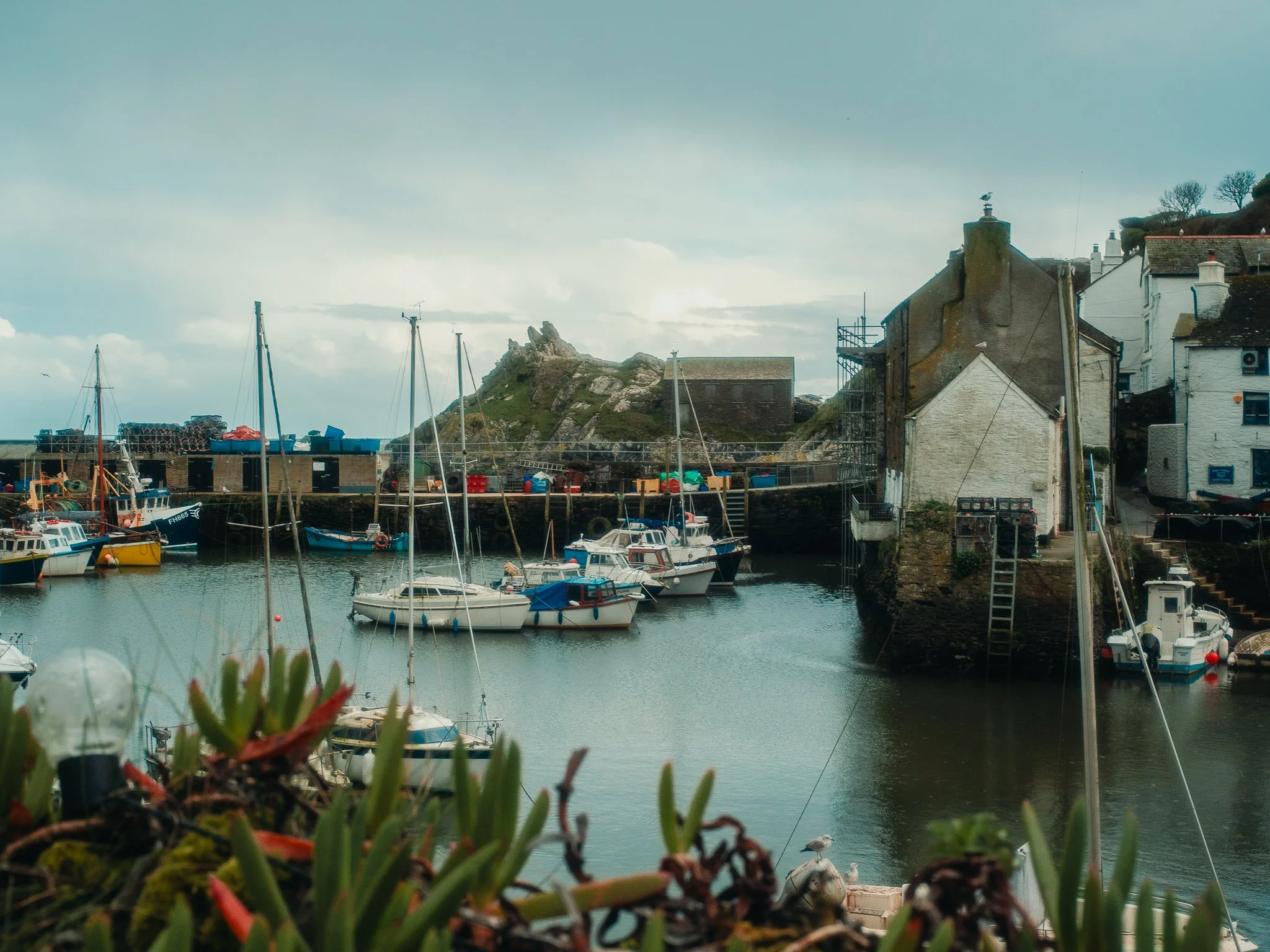 A harbor with boats docked, historic buildings on the right, rocky hill with structures and trees in the background, seagulls on the dock, and cloudy sky.