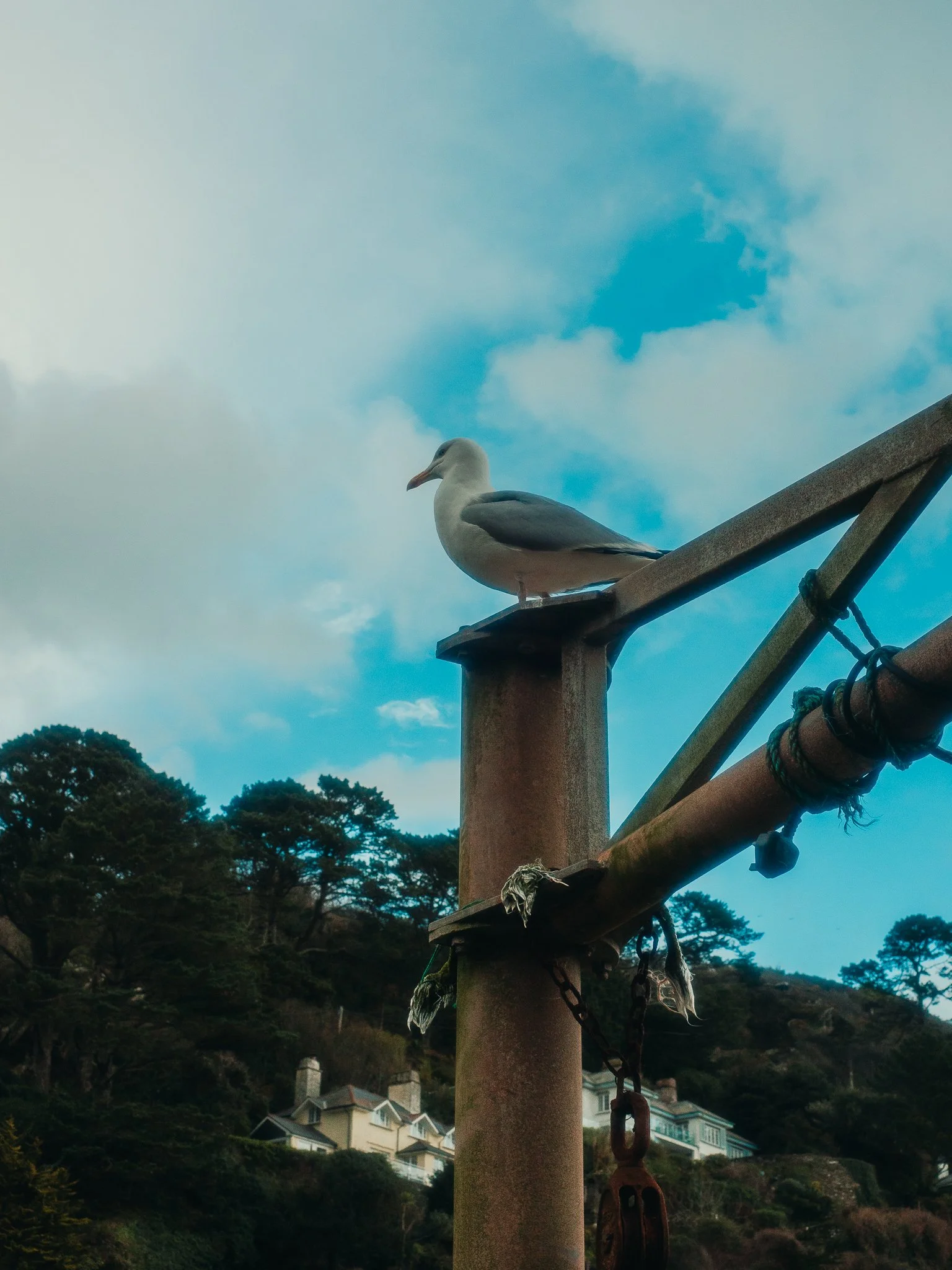 a6400 (43 of 86).jpg