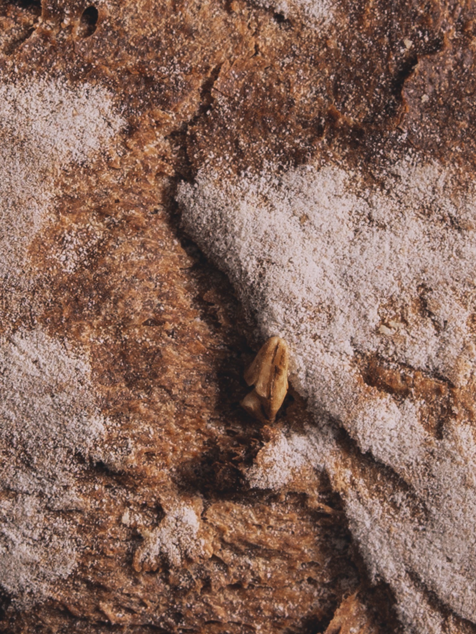 Artboard 3sdewddd.jpg