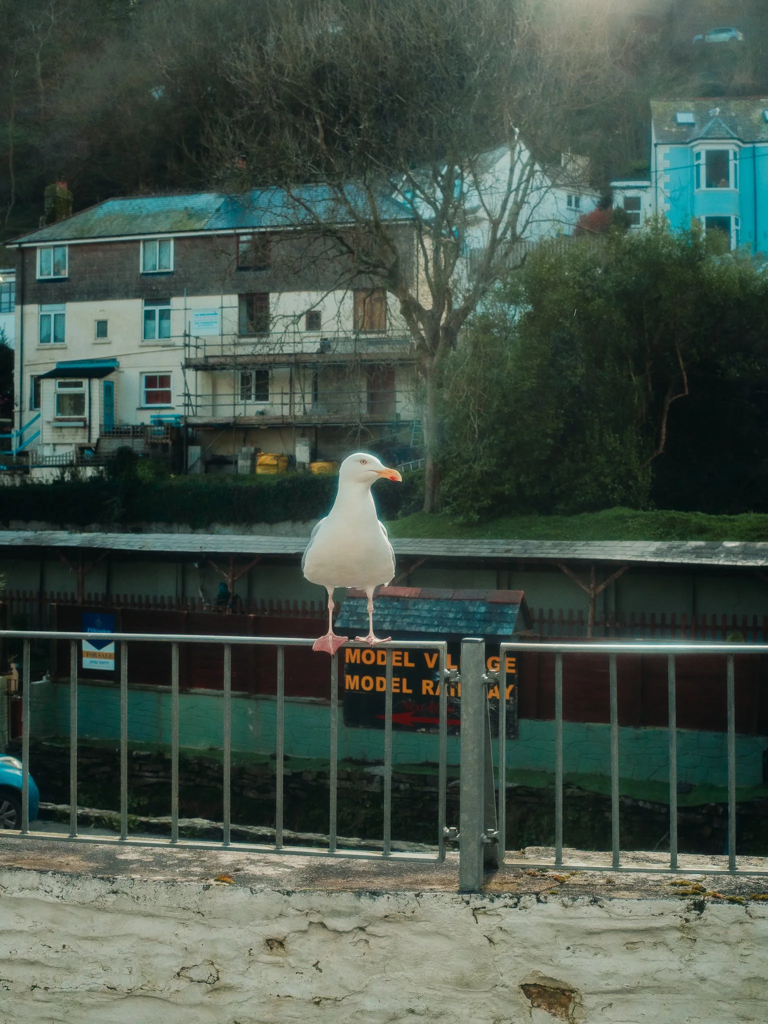 a6400 (23 of 86).jpg