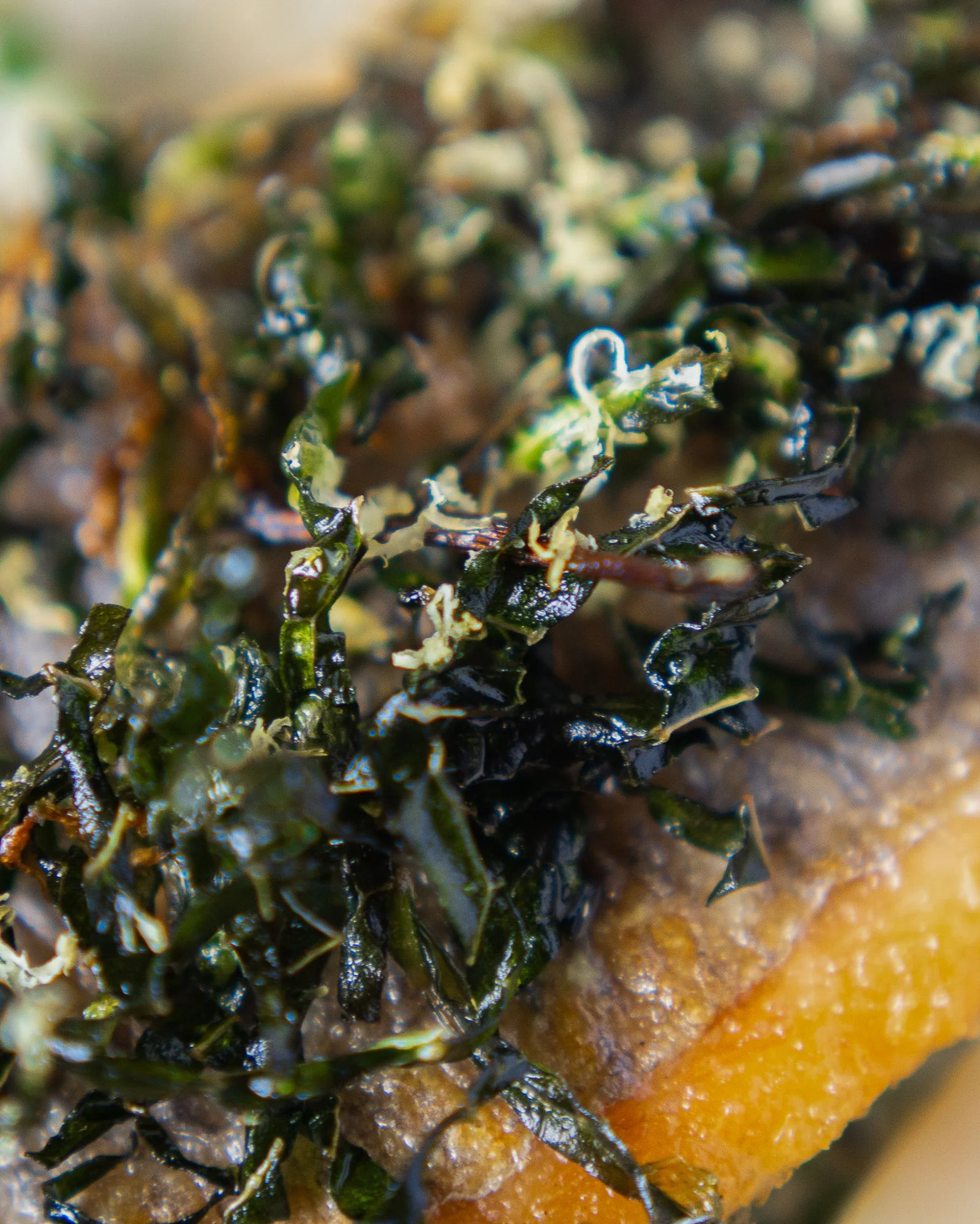 Close-up of a taco with shredded lettuce, melted cheese, dark seaweed strips, and possibly seasoned ground beef