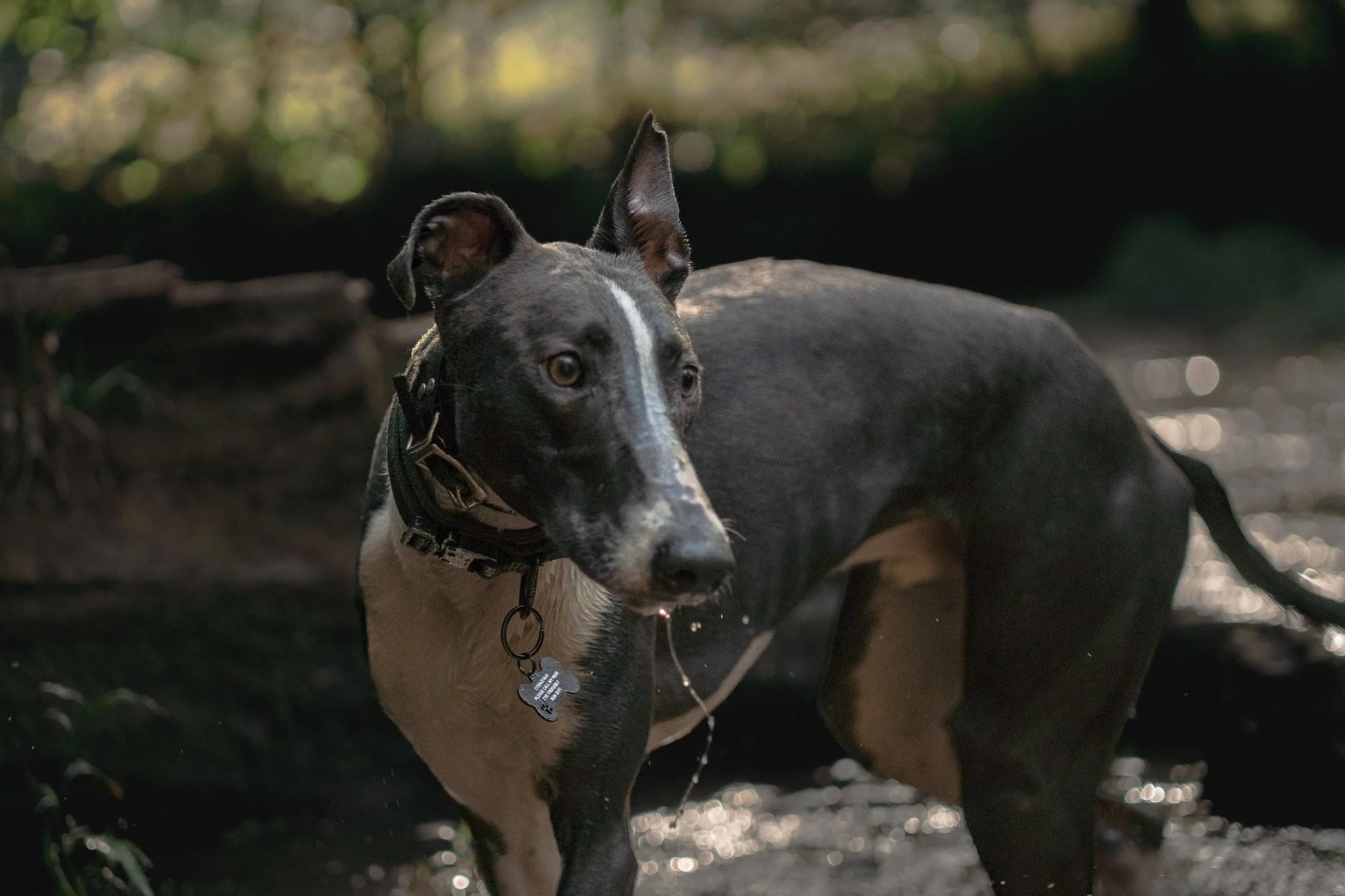 floyd (20 of 35).jpg