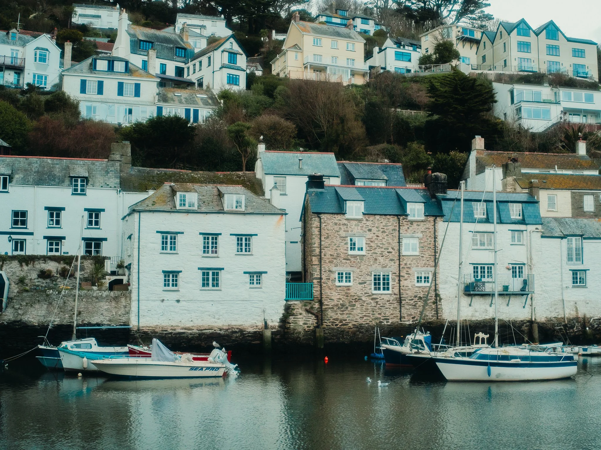 Houses on a hillside with boats docked in a marina at water's edge.