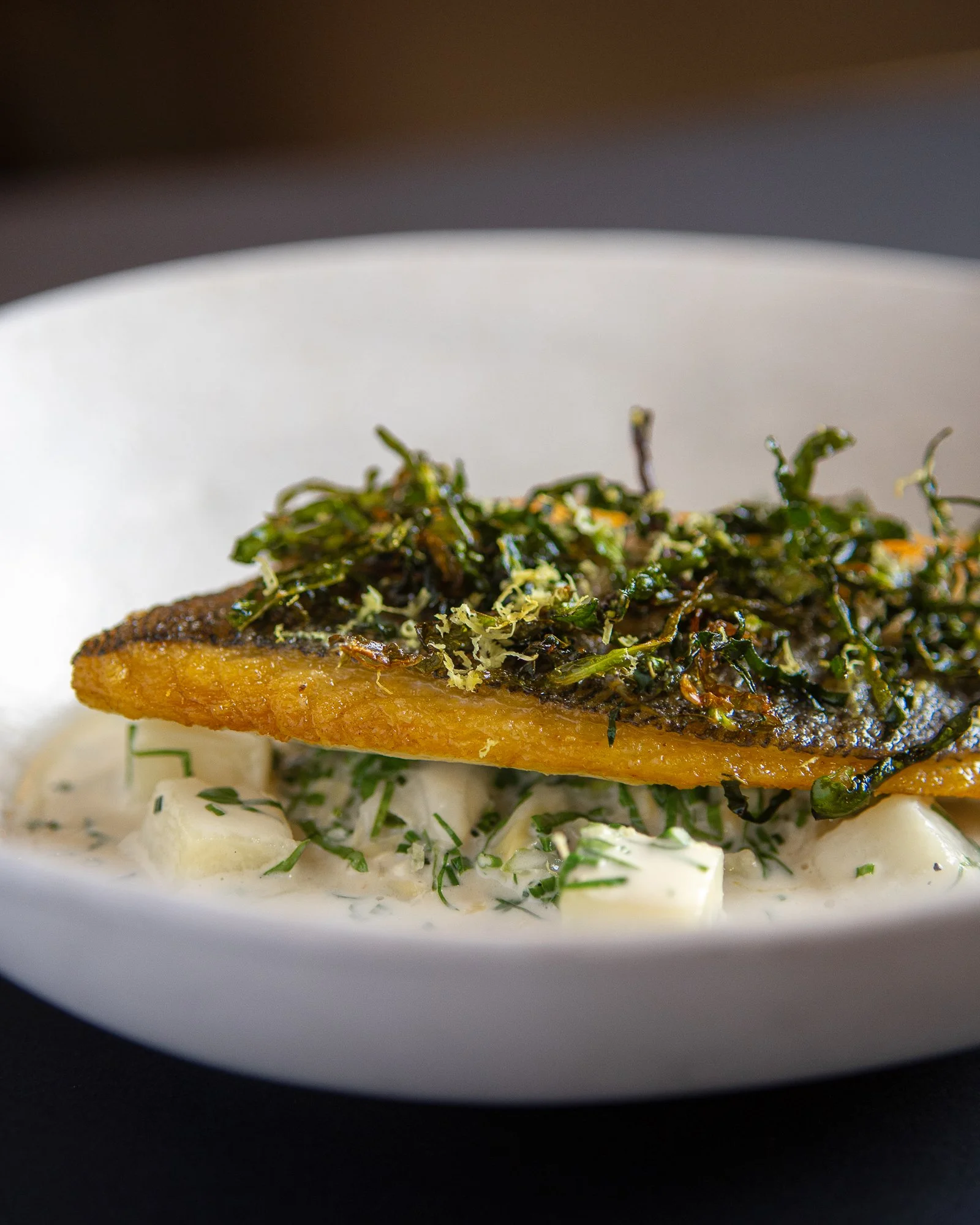 Close-up of a plated dish featuring a seared fish fillet topped with a crispy herb crust and garnished with microgreens, served over a bed of creamy potato mash with chopped herbs.