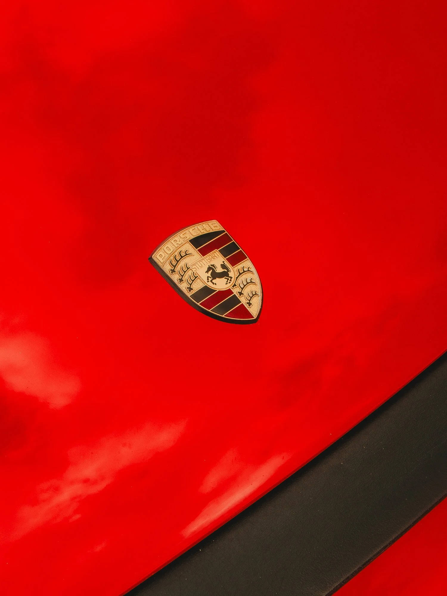 vert (20 of 209).jpg