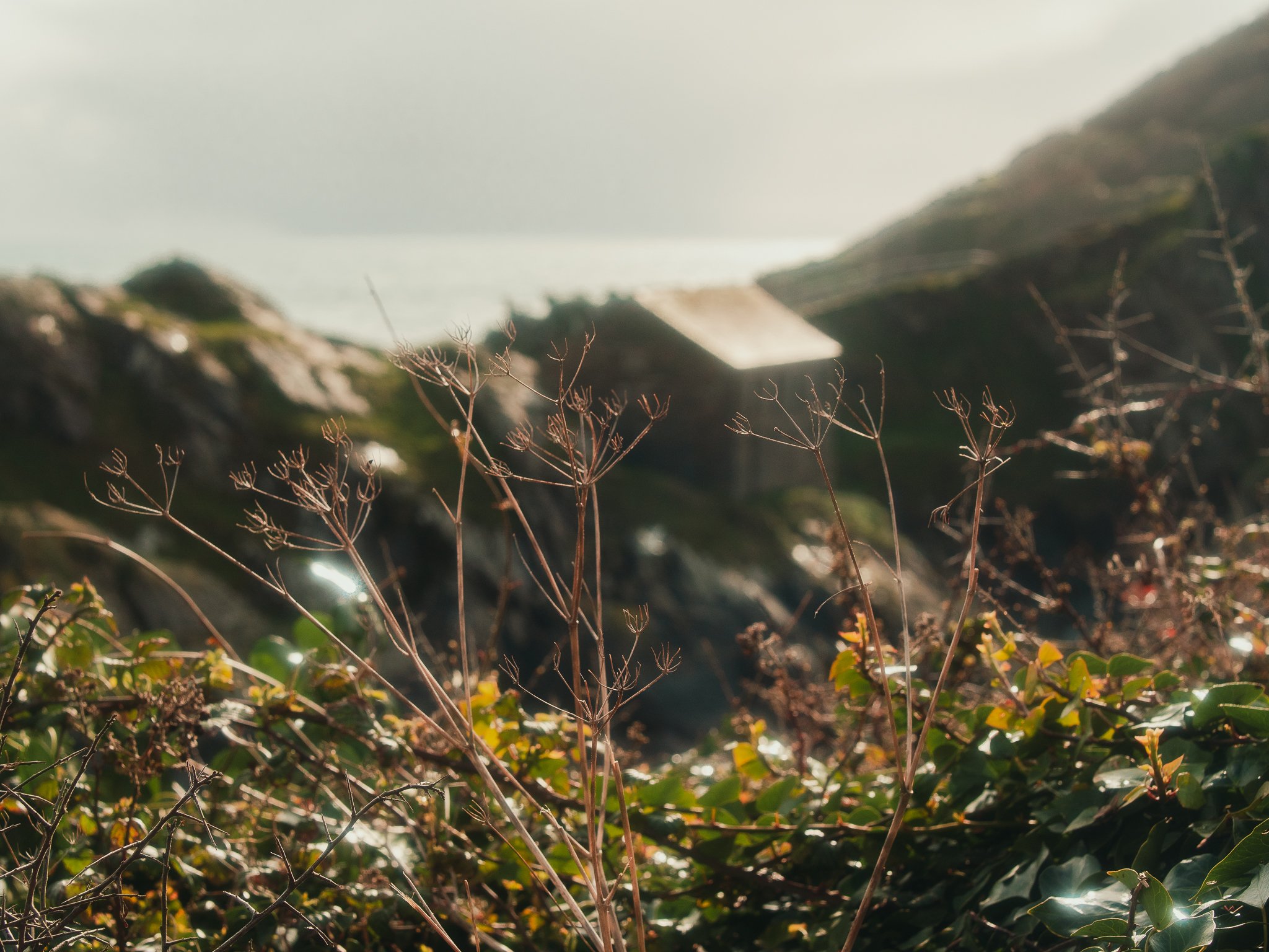 a6400 (74 of 86).jpg