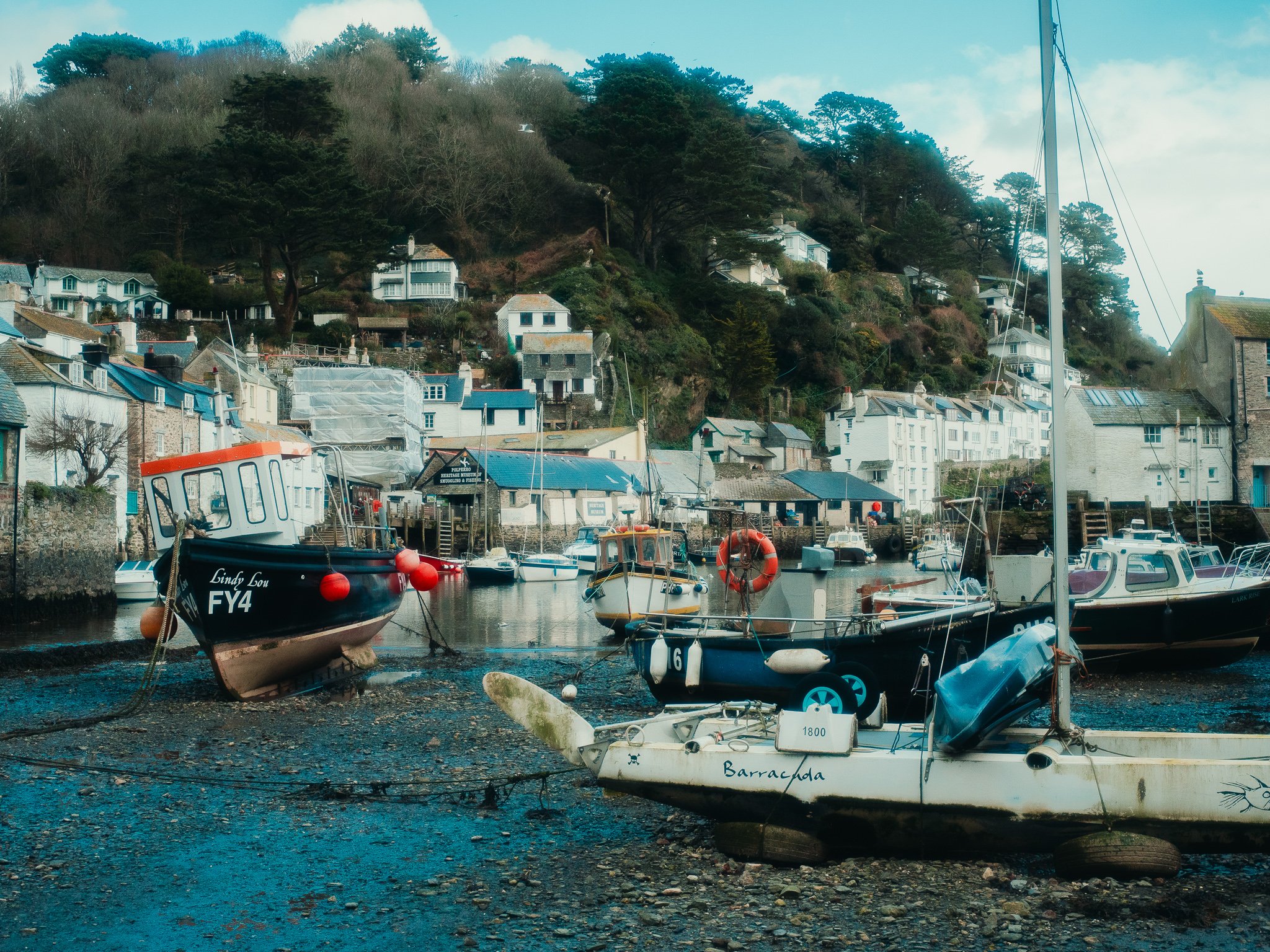 A marina with boats docked near shore, with houses built on a hillside covered with trees in the background. The boats include small sailboats and a boat named Lindy Lou.