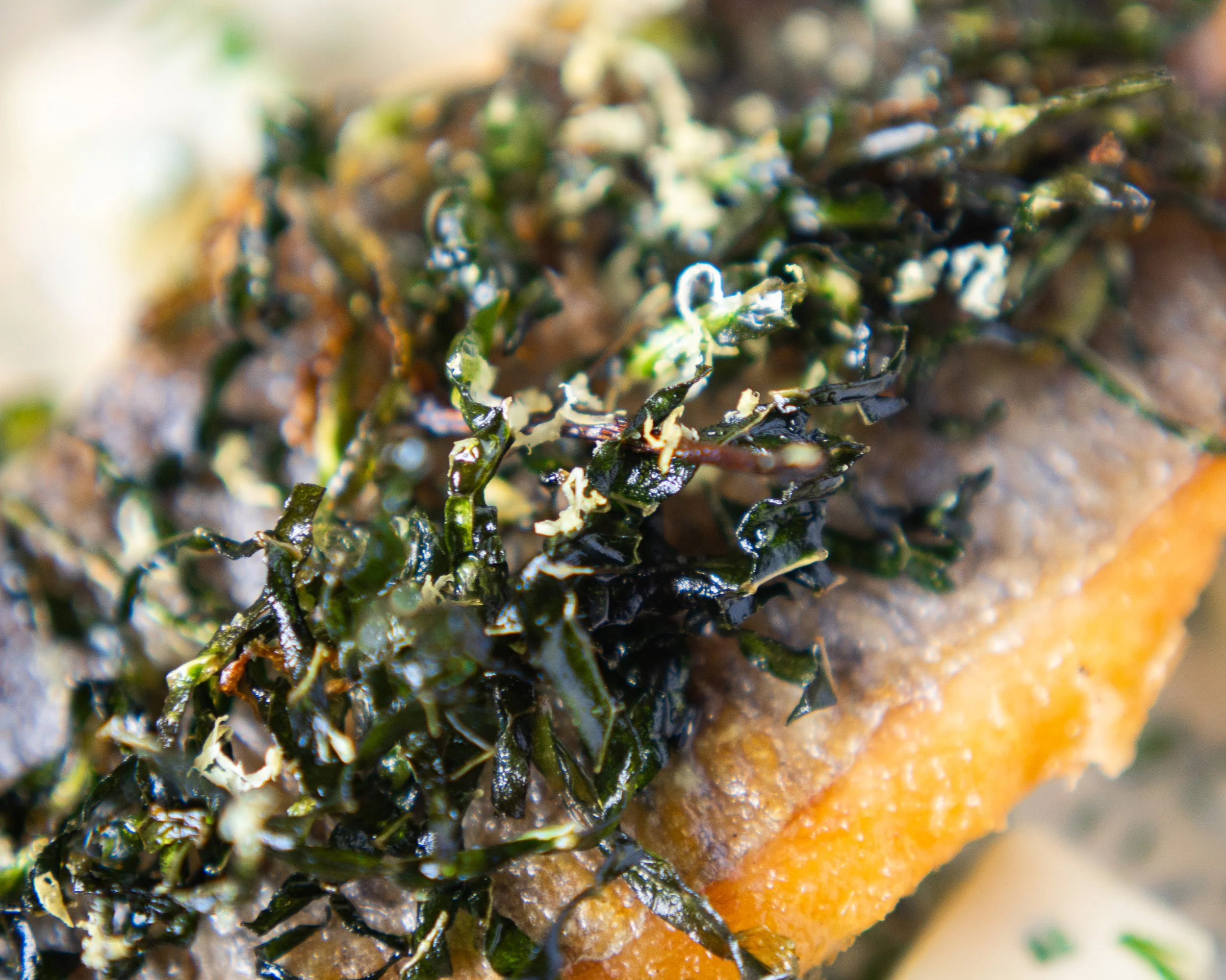 Fish-9.jpg