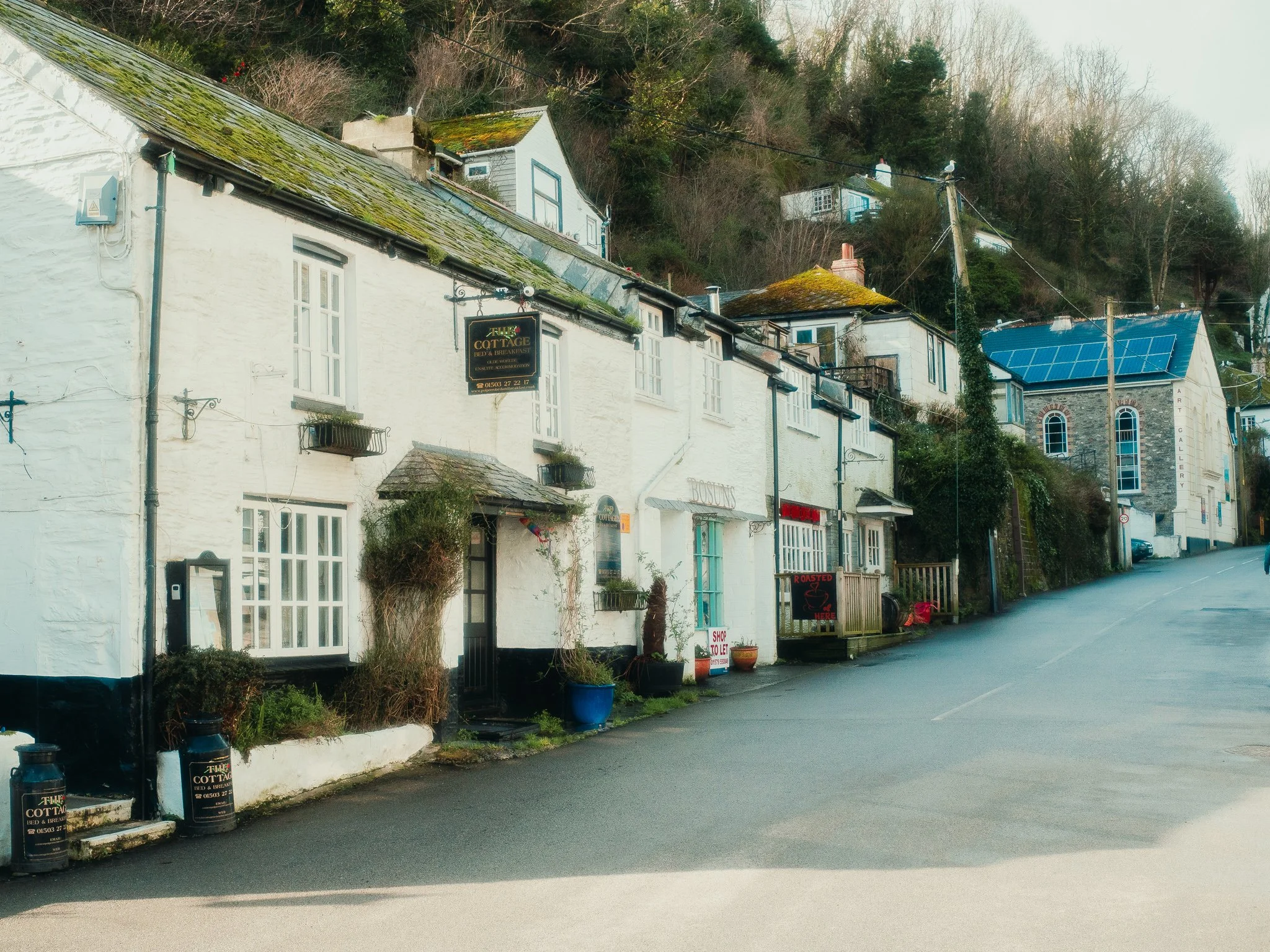Street view of white buildings with moss-covered roofs, with trees on a hillside in the background and signs for a bed and breakfast and art gallery.
