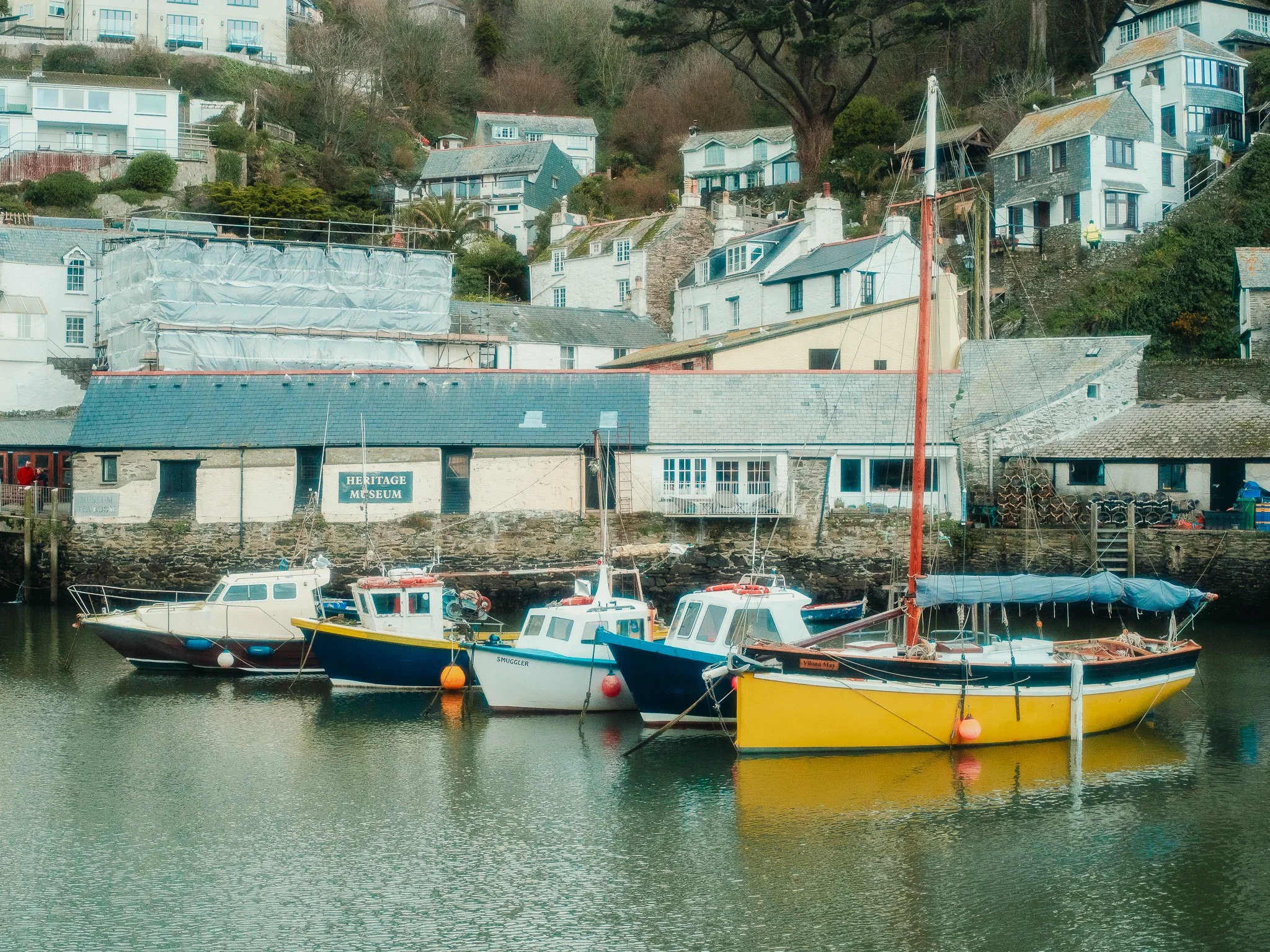 Boats docked at a marina with houses and trees on a hillside in the background.