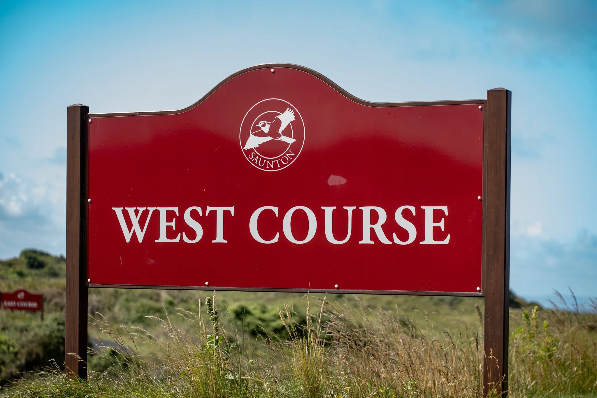 SAUNTON-2.jpg
