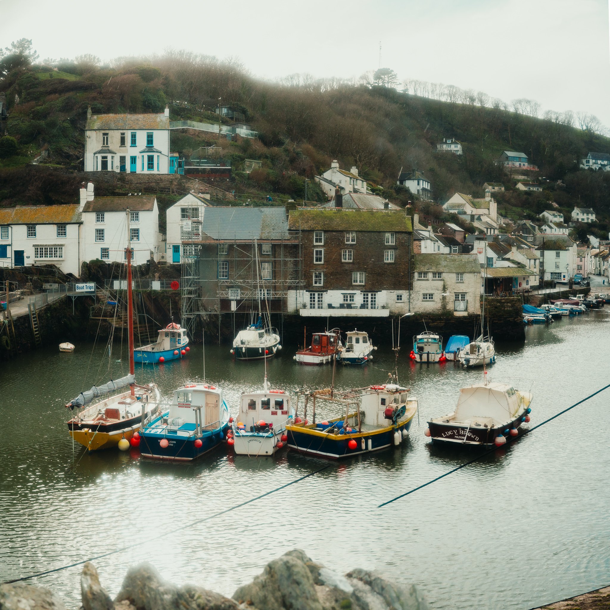 A harbor with boats docked in the water, surrounded by houses on a hillside, with some trees and a foggy sky.