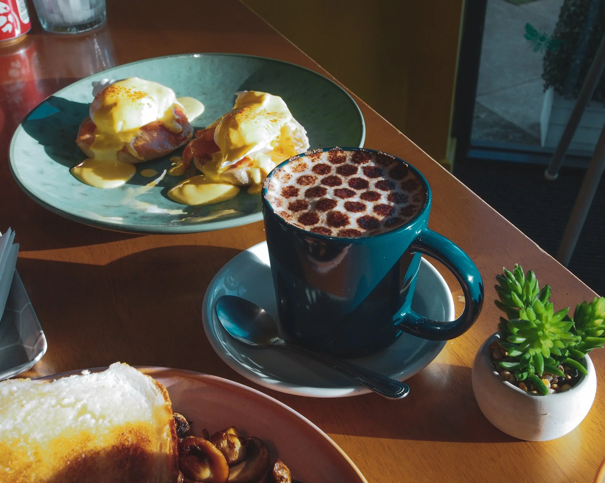 A cup of hot chocolate with marshmallows on top, a plate of eggs Benedict with hollandaise sauce, and a small potted succulent on a wooden table in sunlight.