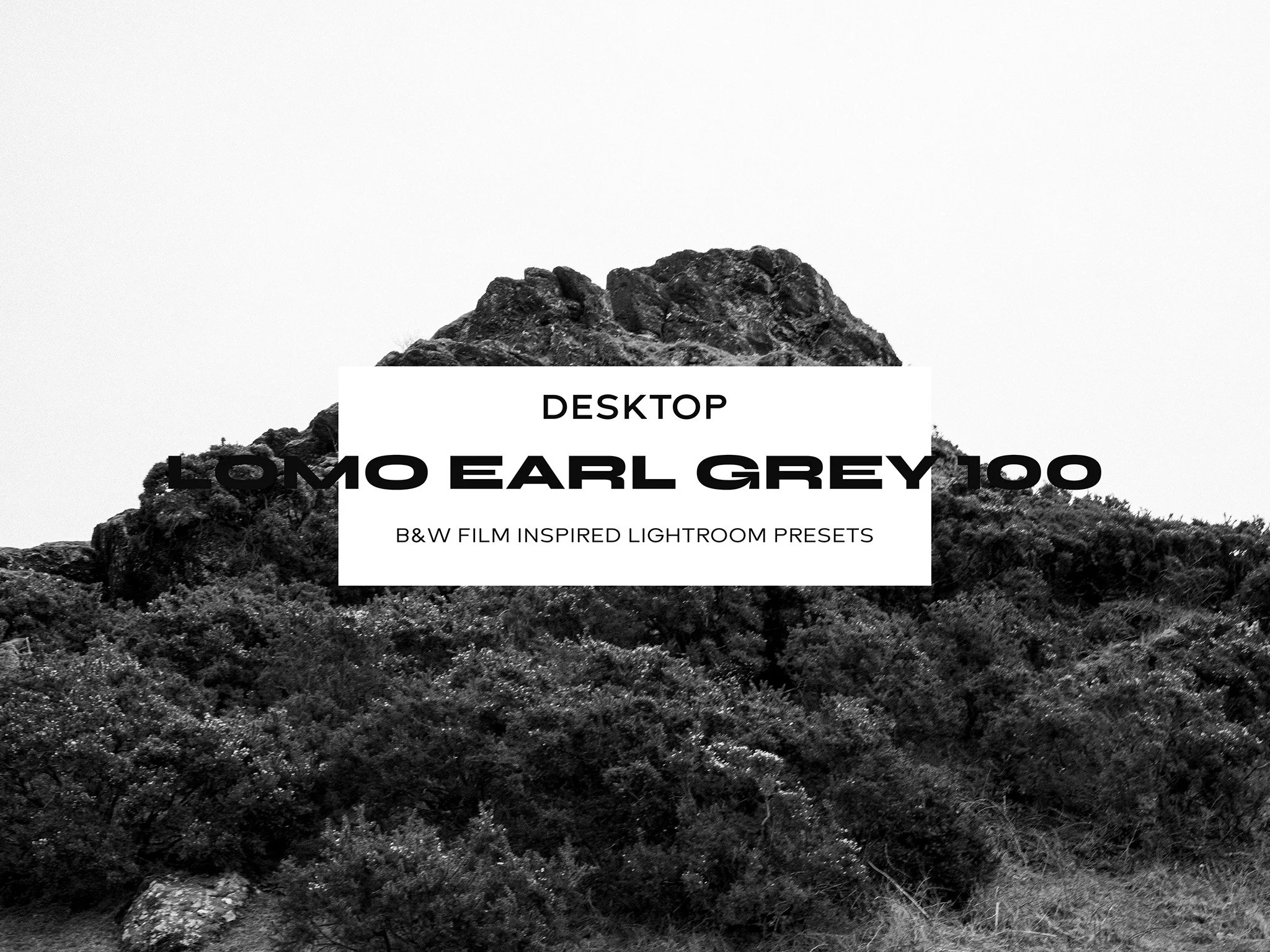 'Lomo Earl Grey 100 Inspired' B&W Lightroom Preset