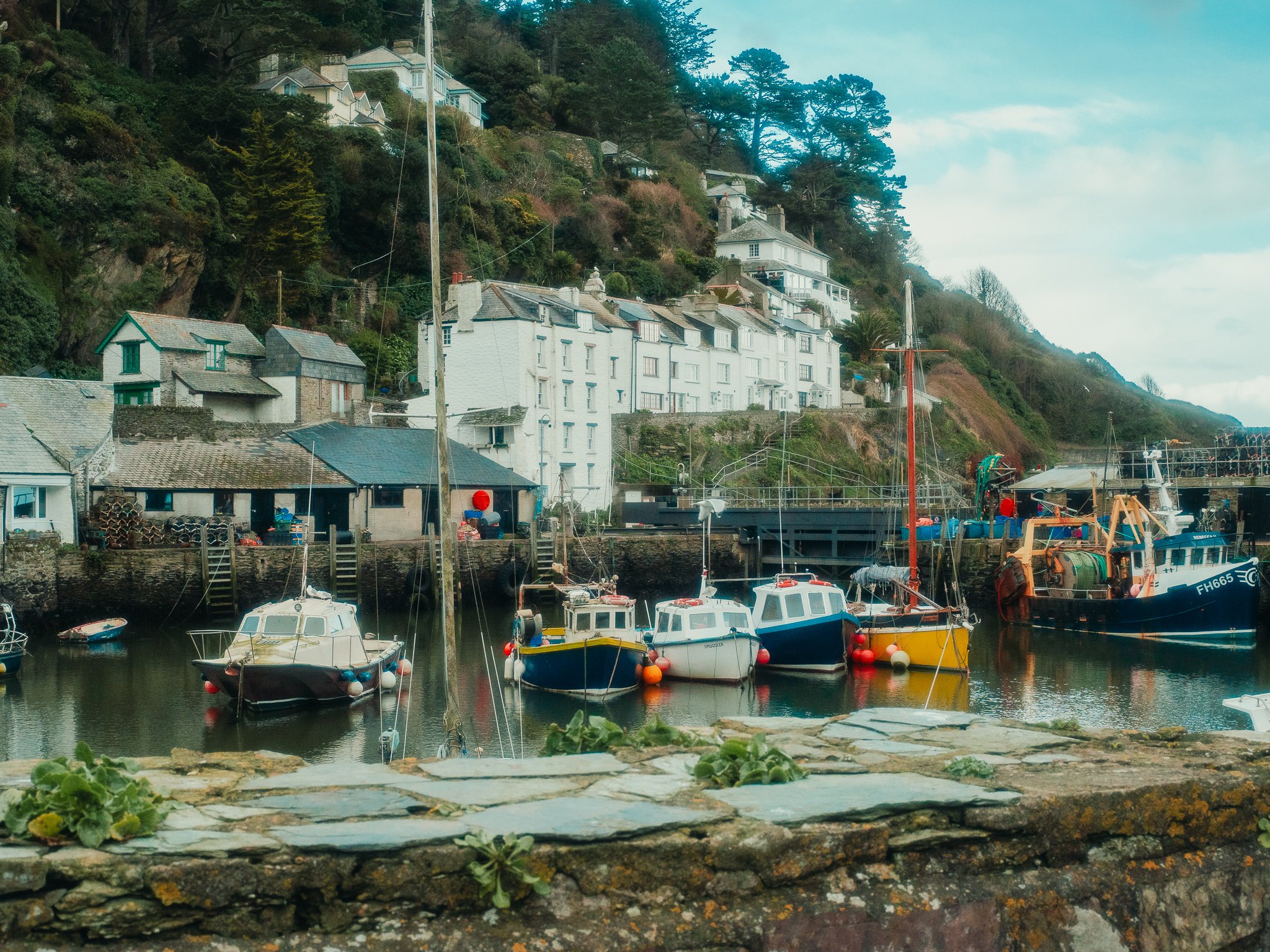 Colorful boats docked in a harbor with houses and trees on a hillside in the background.