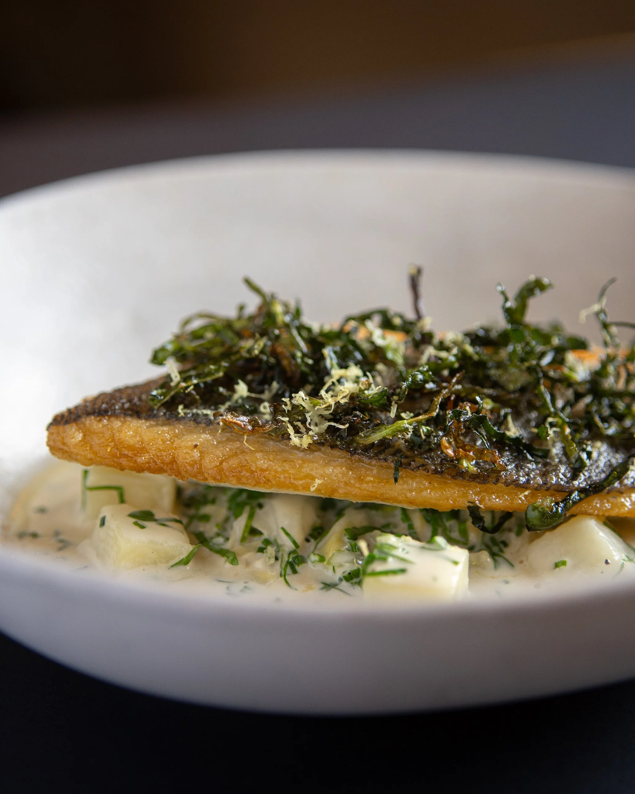 Fish-3.jpg