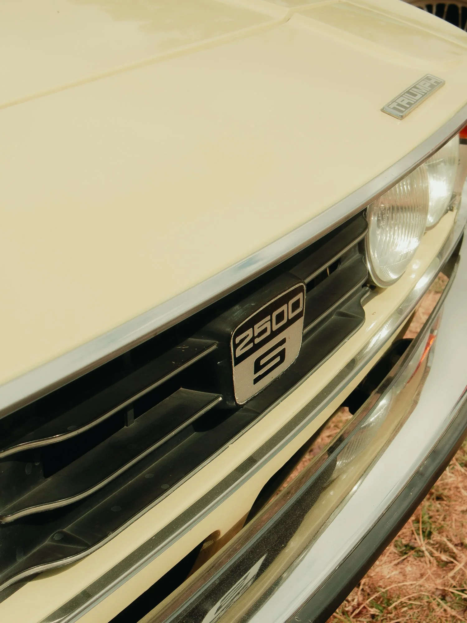 Close-up of a vintage beige car's front grille and headlight, with a black license plate displaying '250 G.'