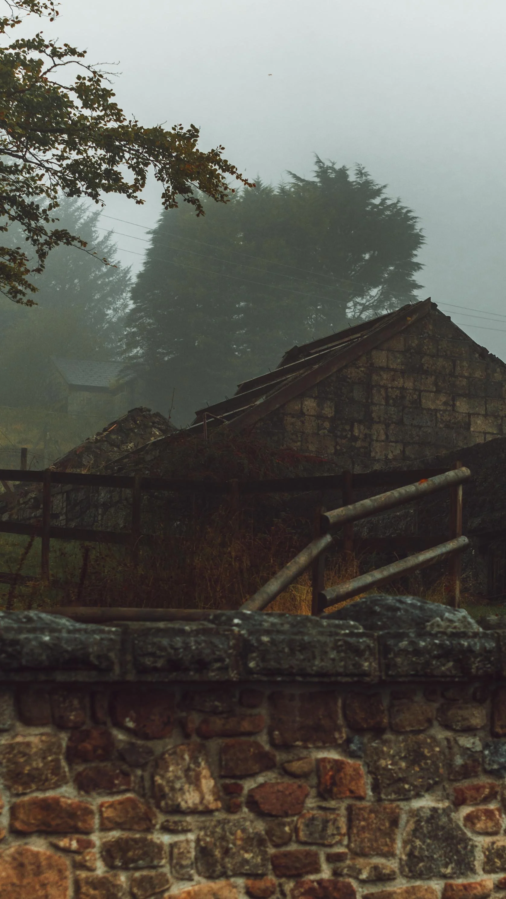 A foggy scene with trees, rooftops, and a stone wall with a metal fence in the foreground.
