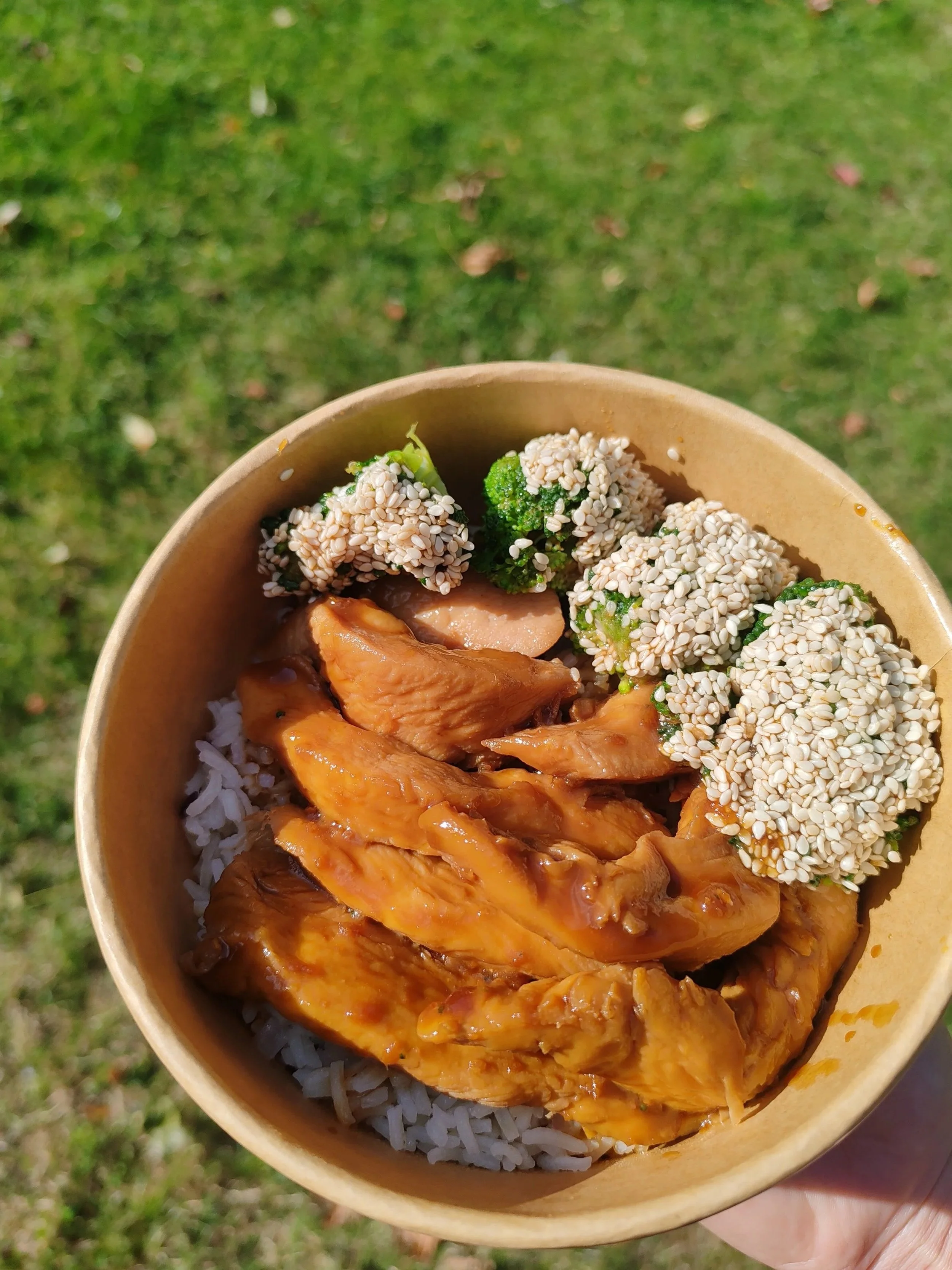 Bol avec du riz, du poulet en sauce, des brocolis recouverts de graines de sésame, et du porc en sauce, devant un fond d'herbe verte.