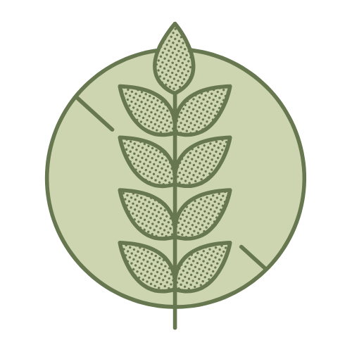 Une illustration d'une branche de plante avec plusieurs feuilles dans un cercle vert.