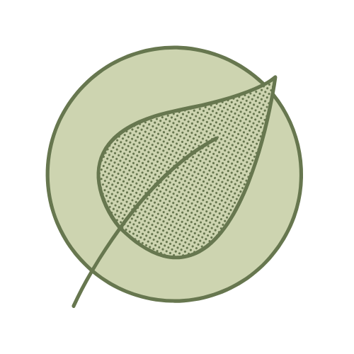 Une illustration stylisée de deux feuilles vertes, une à l'intérieur de l'autre, sur un fond circulaire vert clair.
