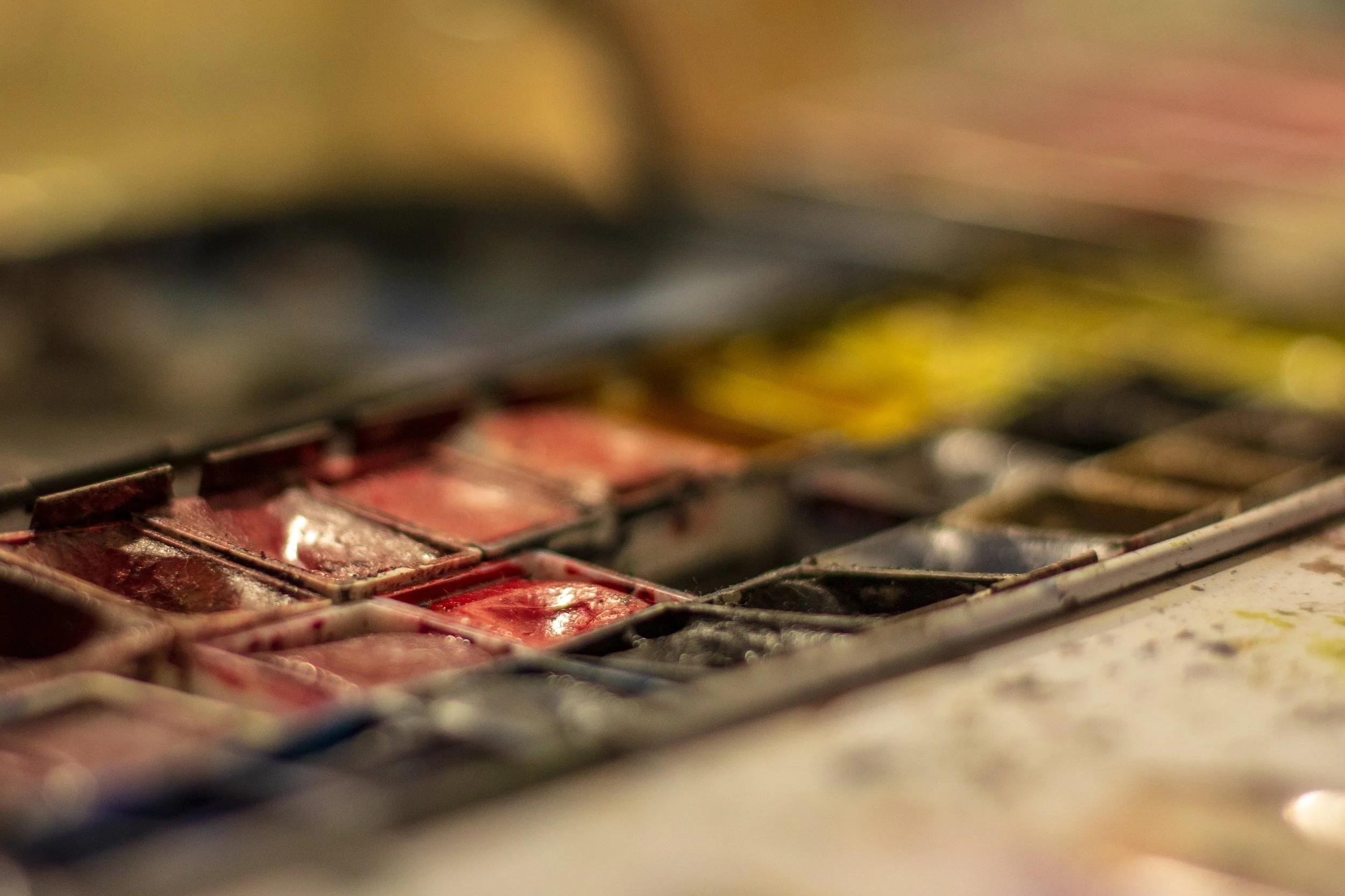 Publications en tant qu'illustratrice