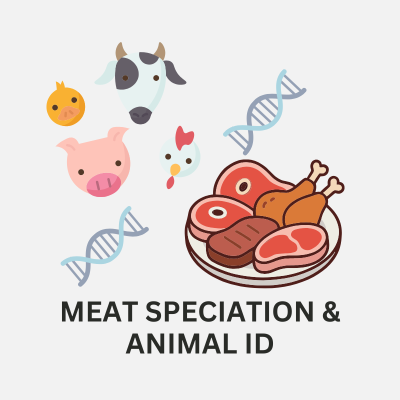 Illustration of various farm animals including a duck, cow, pig, chicken, and a DNA double helix, along with a plate of assorted raw meats, with the text 'Meat Speciation & Animal ID'.