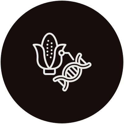 GMO seed and feed testing using real-time PCR methods.