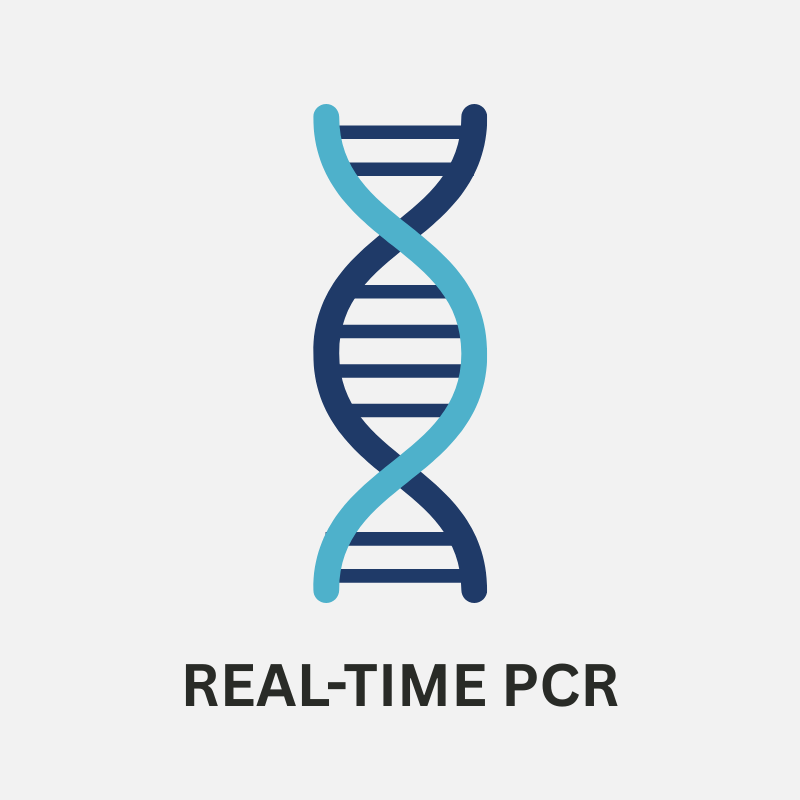Real-time PCR testing for food allergen, GMO and food authenticity analysis.