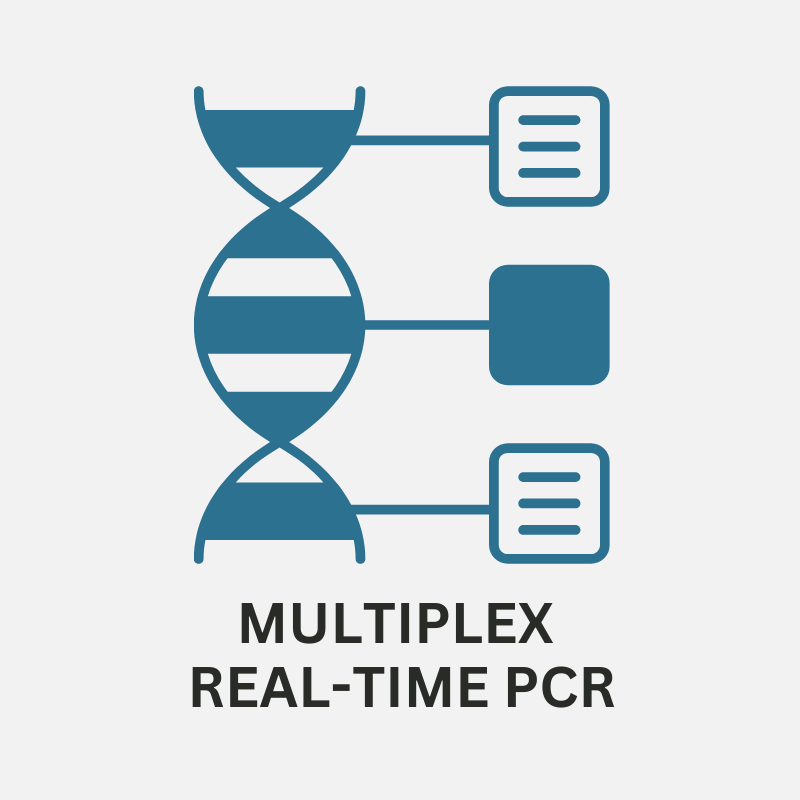 Multiplex real-time PCR components.