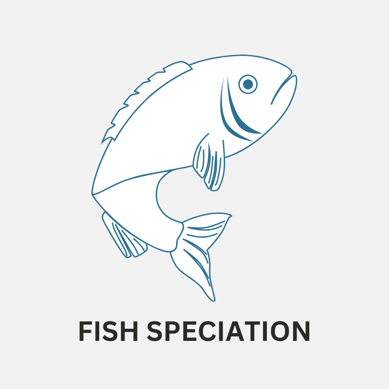 Fish Spectation