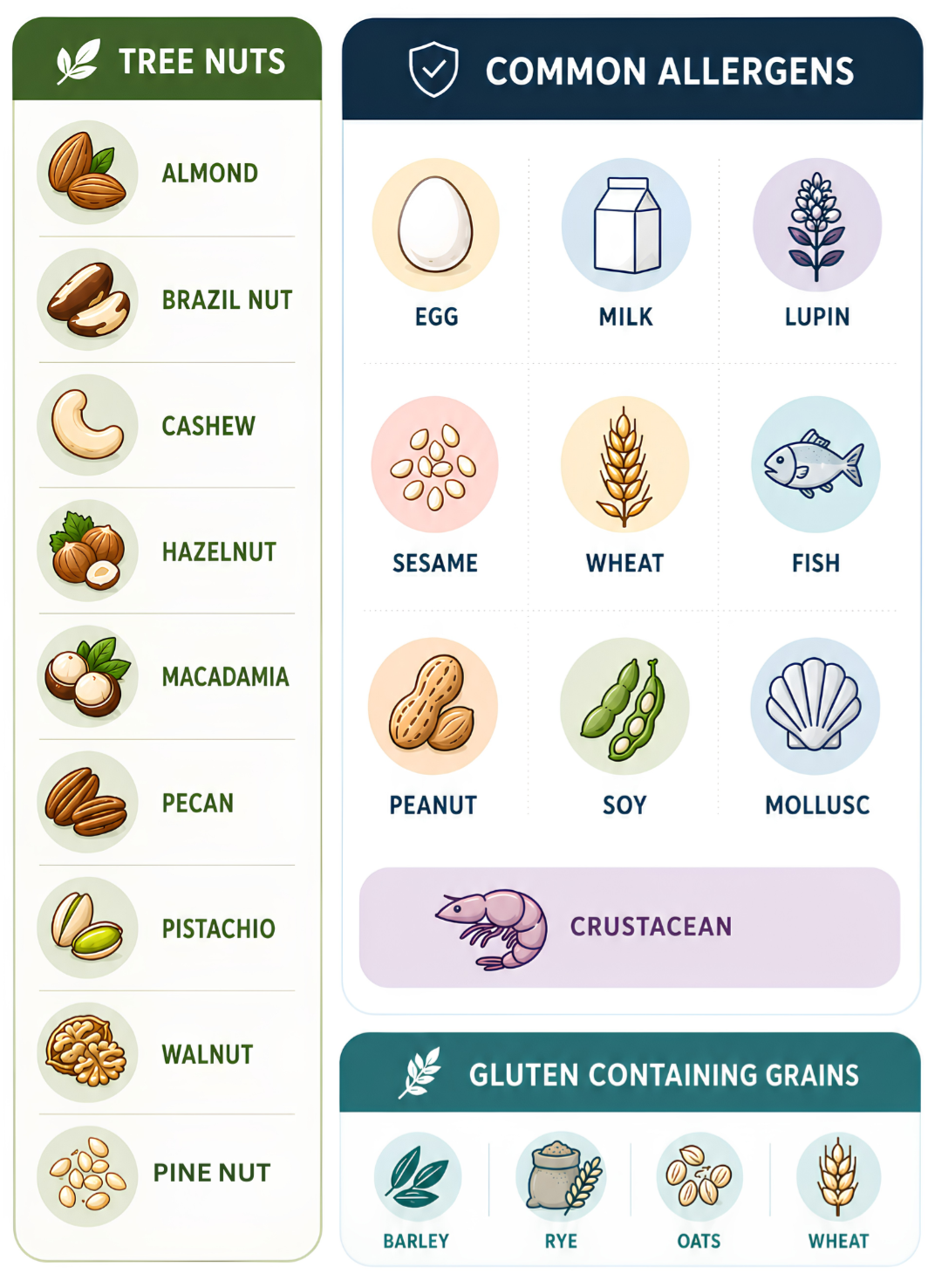Chart showing common allergens, tree nuts including almonds, Brazil nuts, cashews, hazelnuts, macadamia, pecans, pistachios, walnuts, pine nuts, and foods with gluten including barley, rye, oats, and wheat.