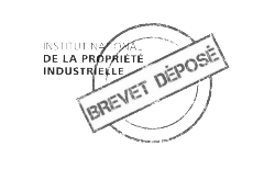 Logo avec texte en français et en anglais pour un institut, marqué par un stamp 'Brevet Déposé'.