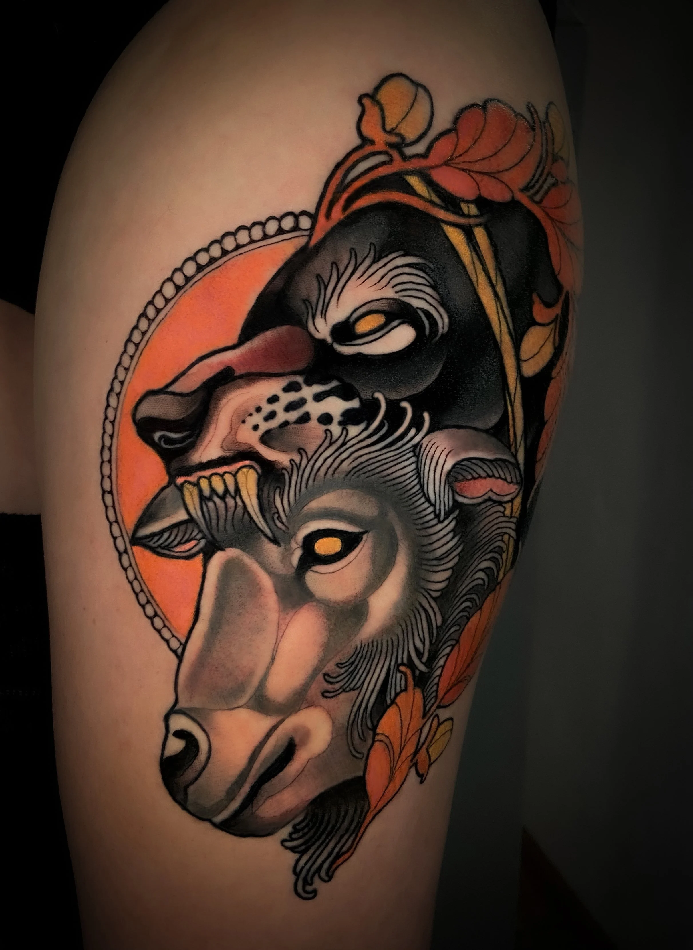 schaaf_wolf_25_lR Kopie.jpg