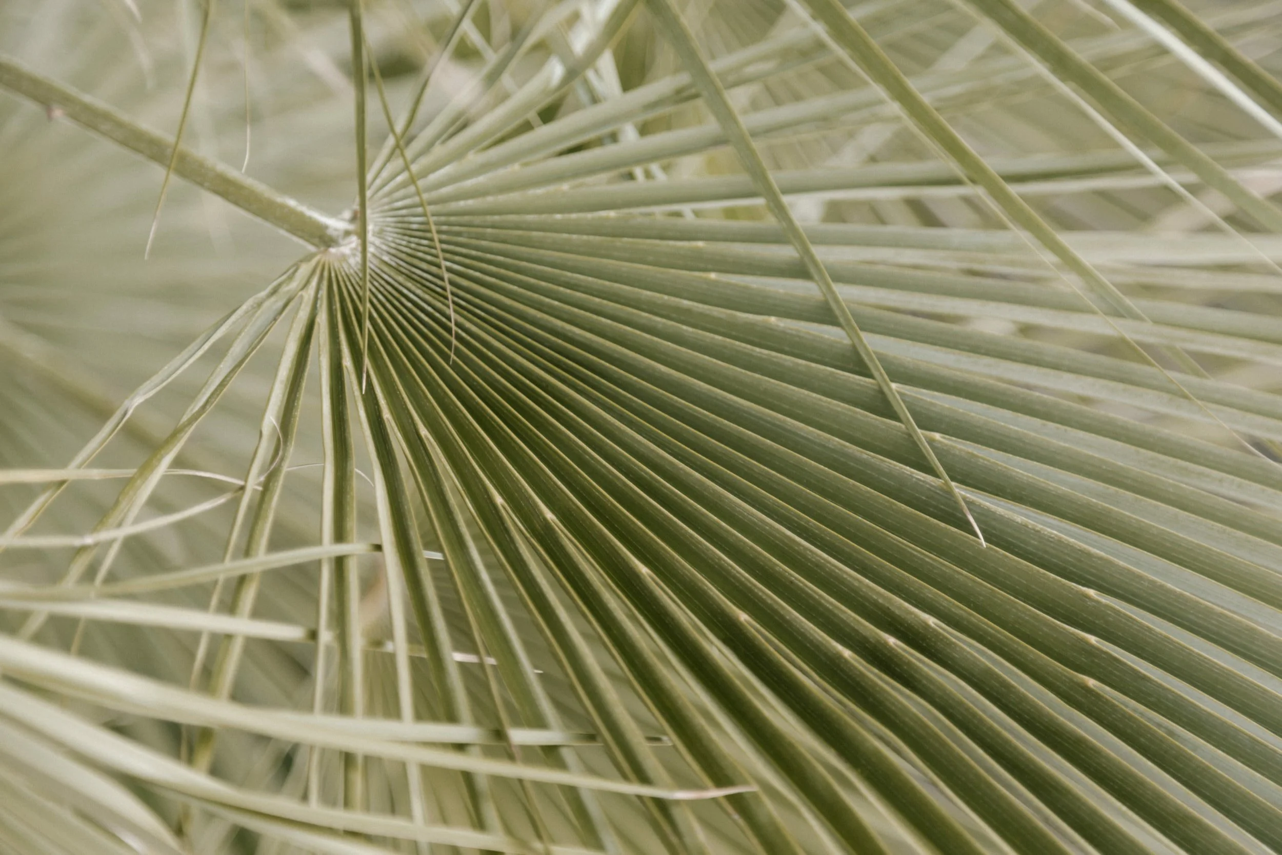 Your Website Creates an Atmosphere: here’s how to make it intentional