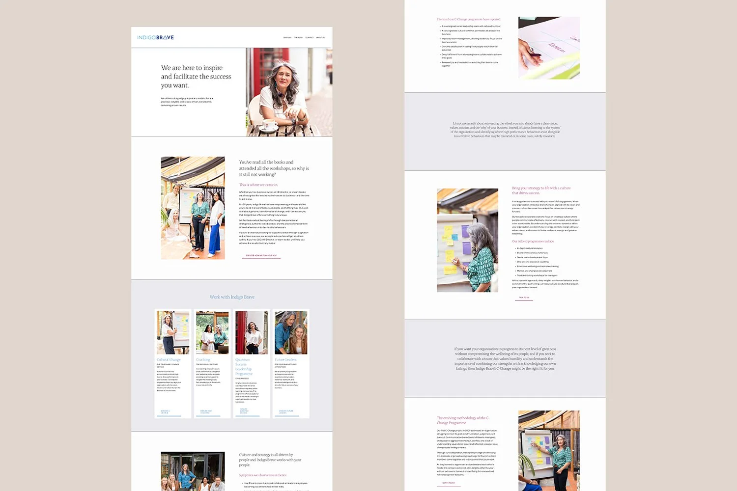 Indigo Brave- full pages.jpg
