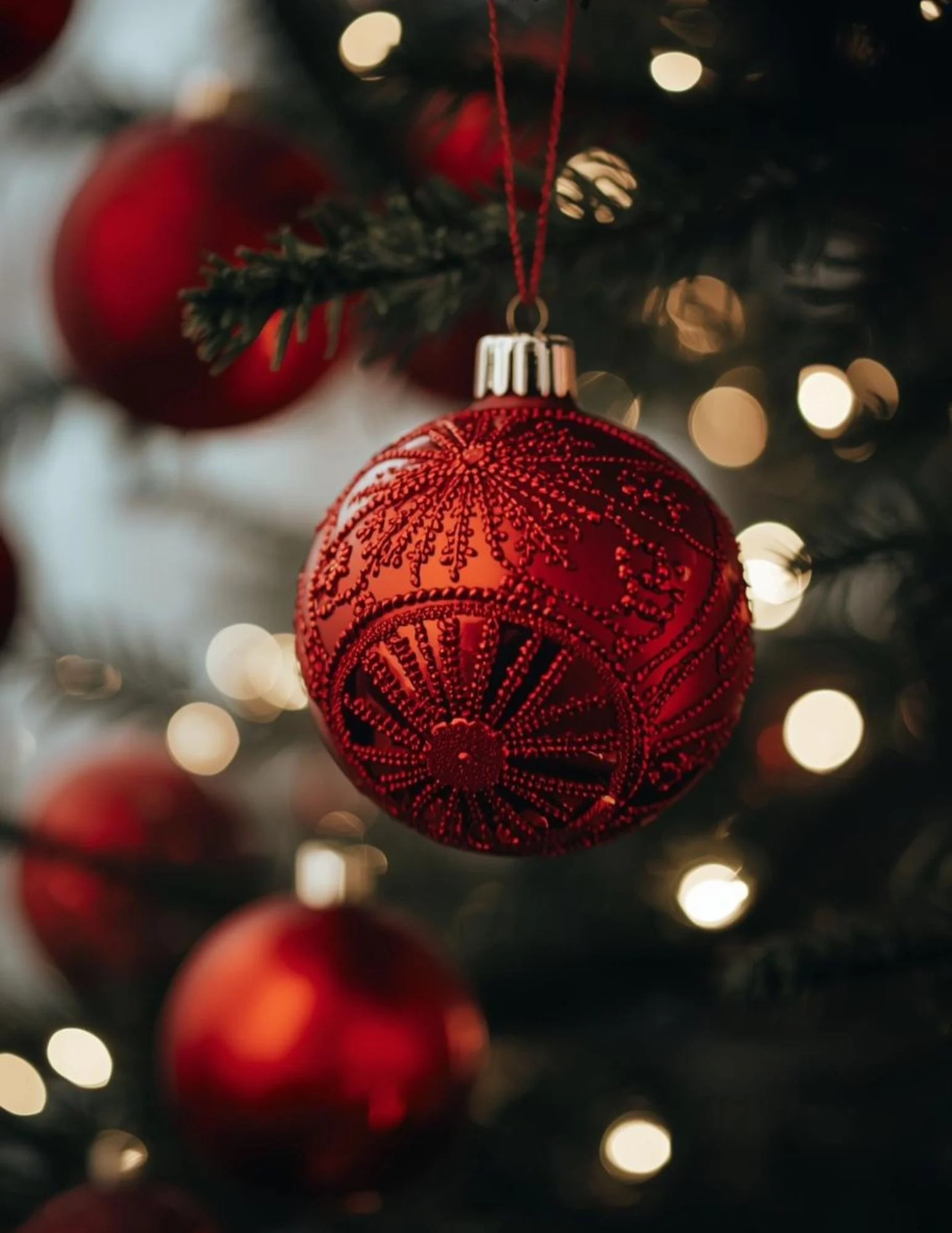 Classic & Cozy- Holiday Mini Photo Session