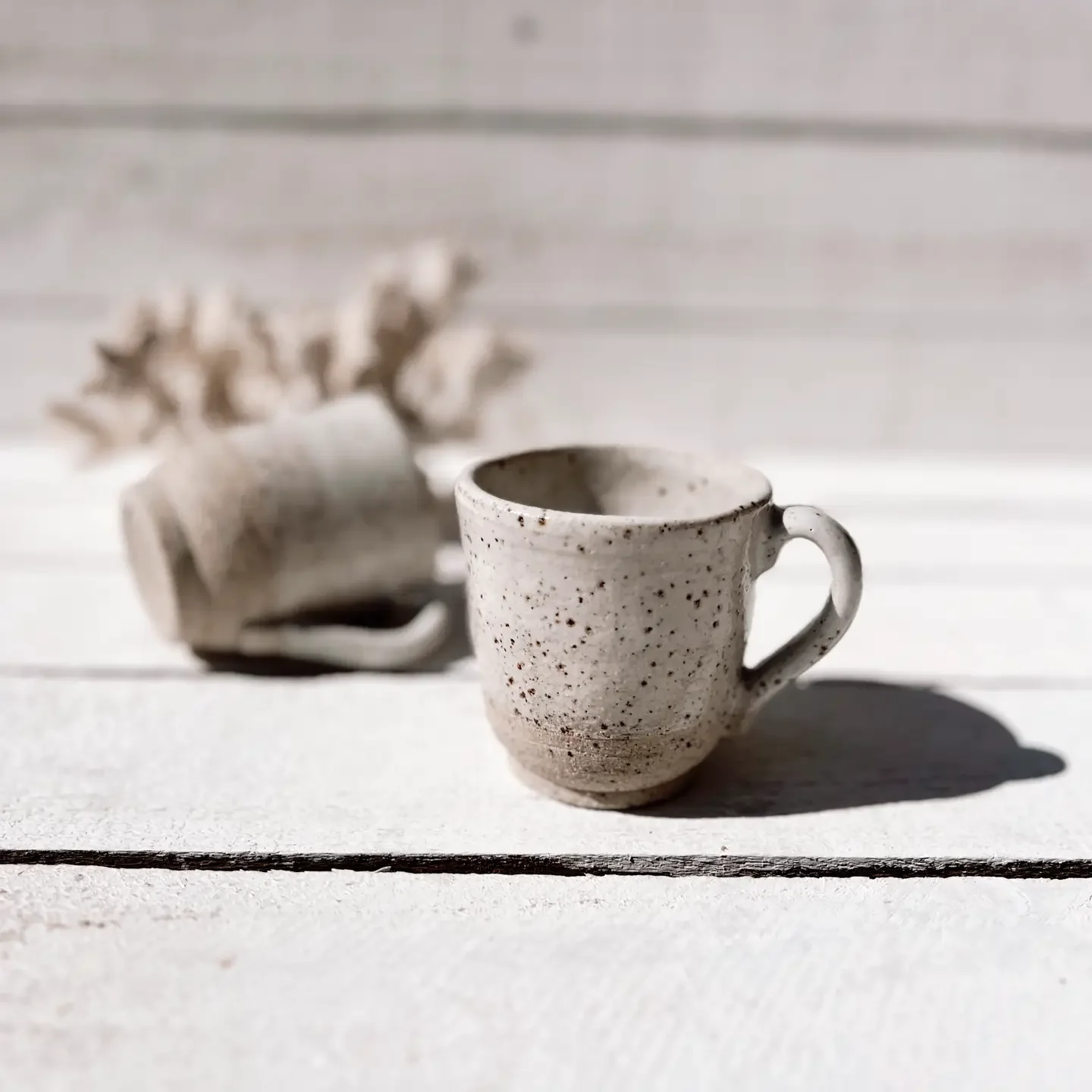 mug1.webp