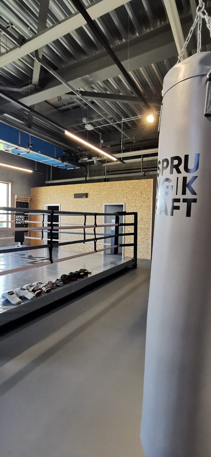 Mieterausbau Boxgym TG