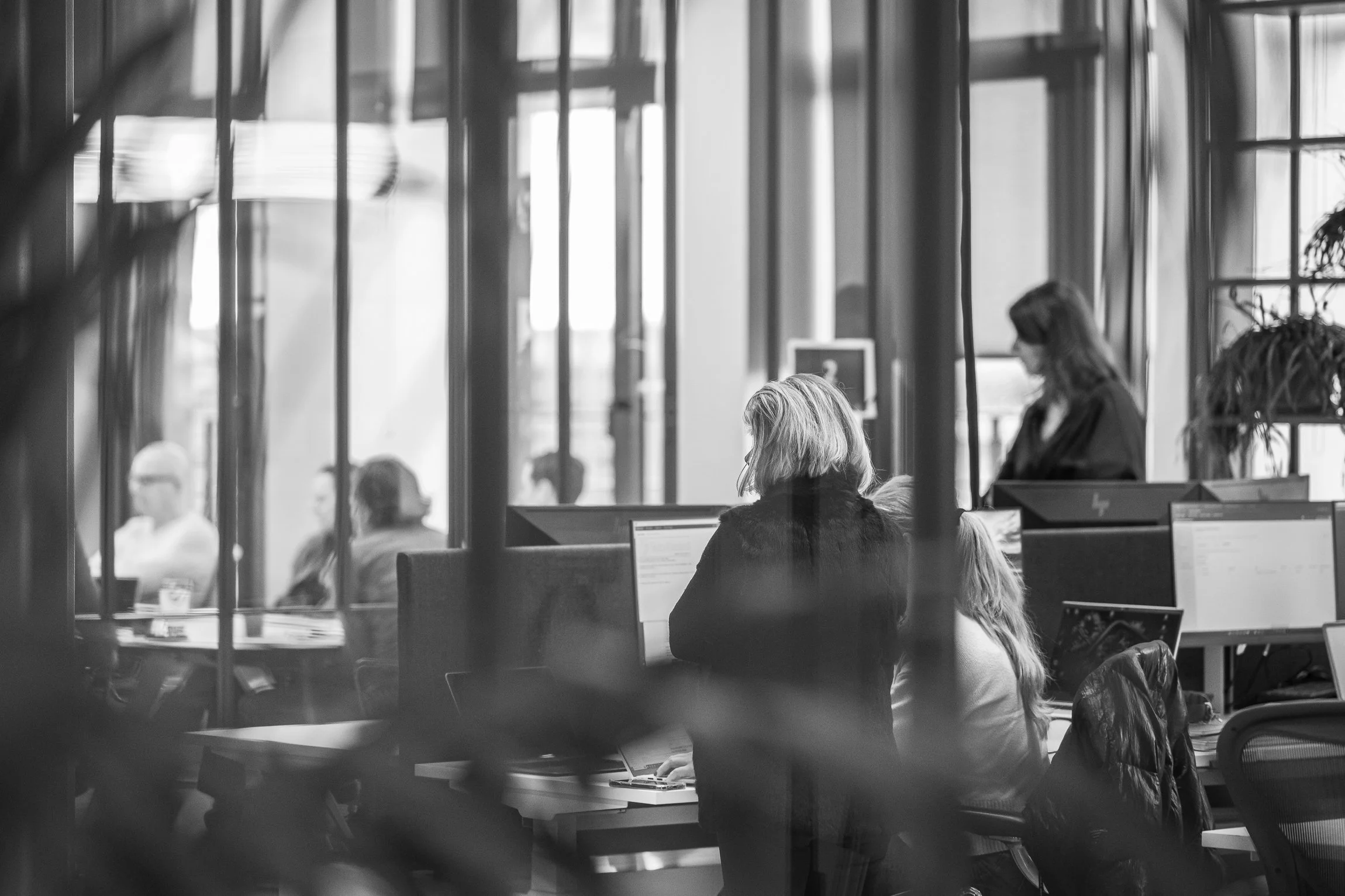 Black and white photo of people working on computers in an office with large windows and plants.