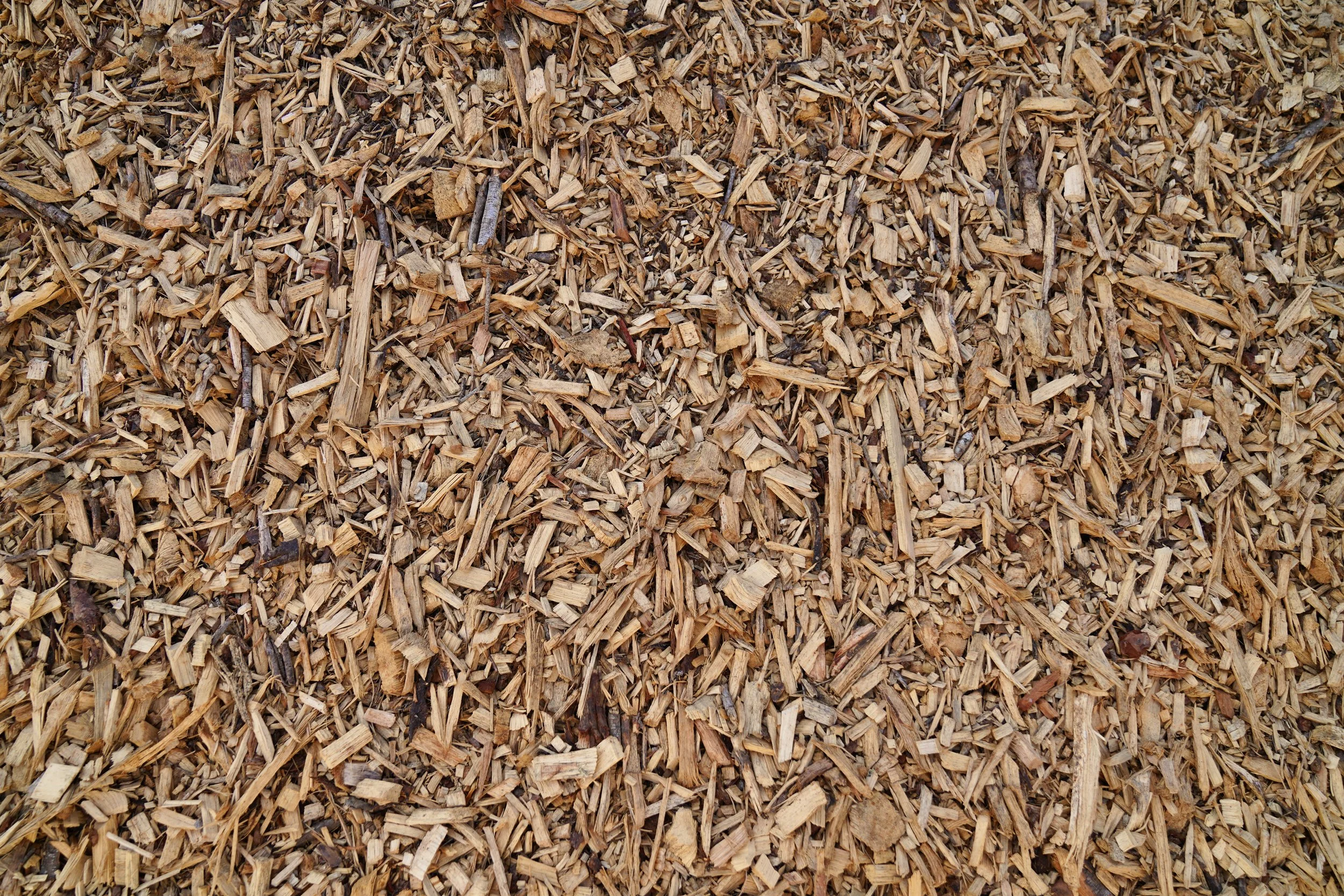 A close-up view of a pile of wood chips.