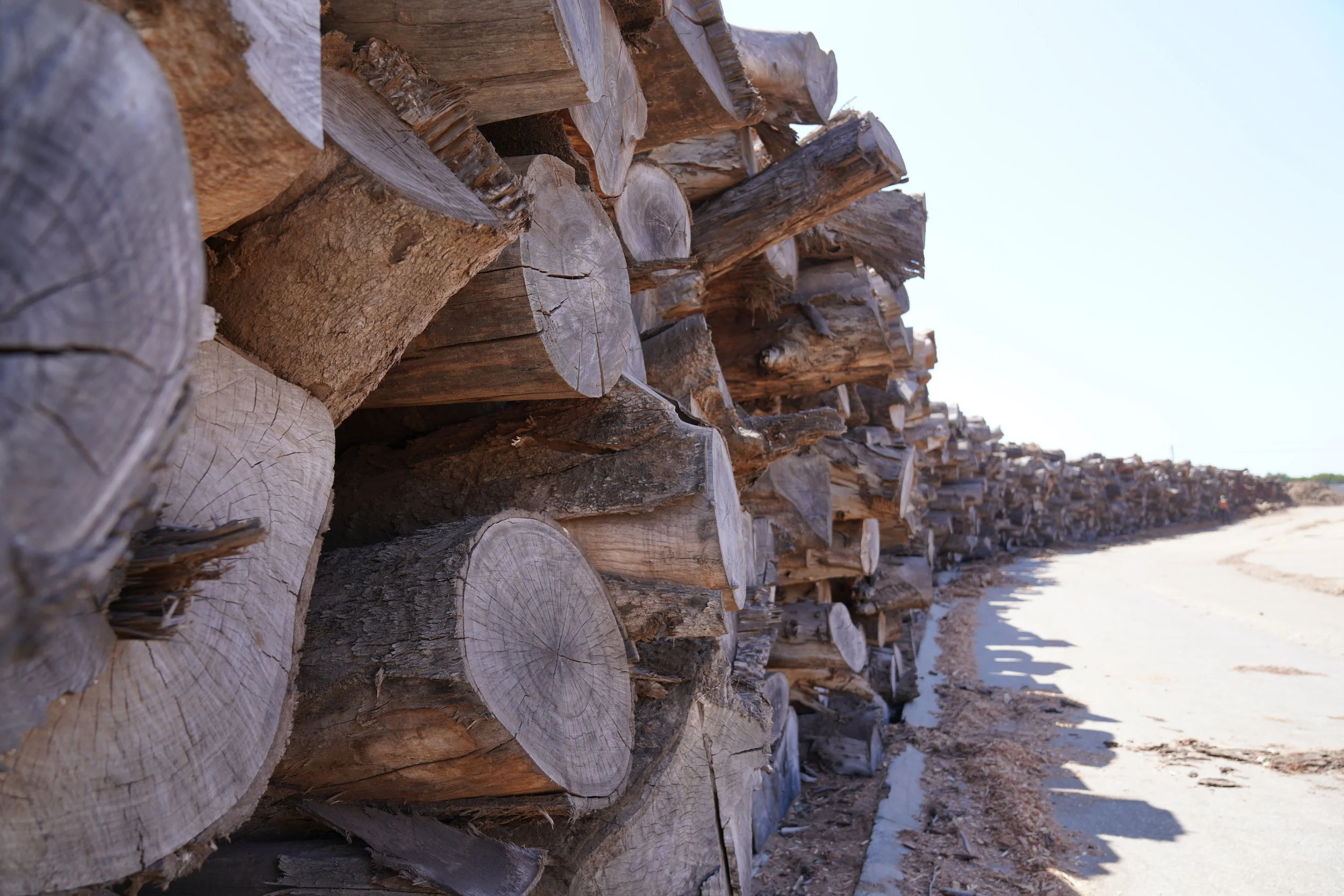 Stacked wood logs along on a sunny day.