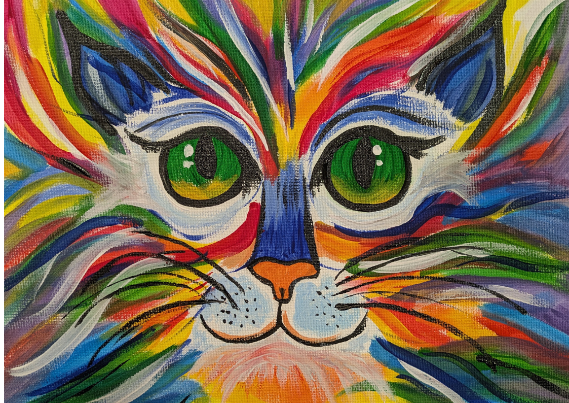 Colourful Cat