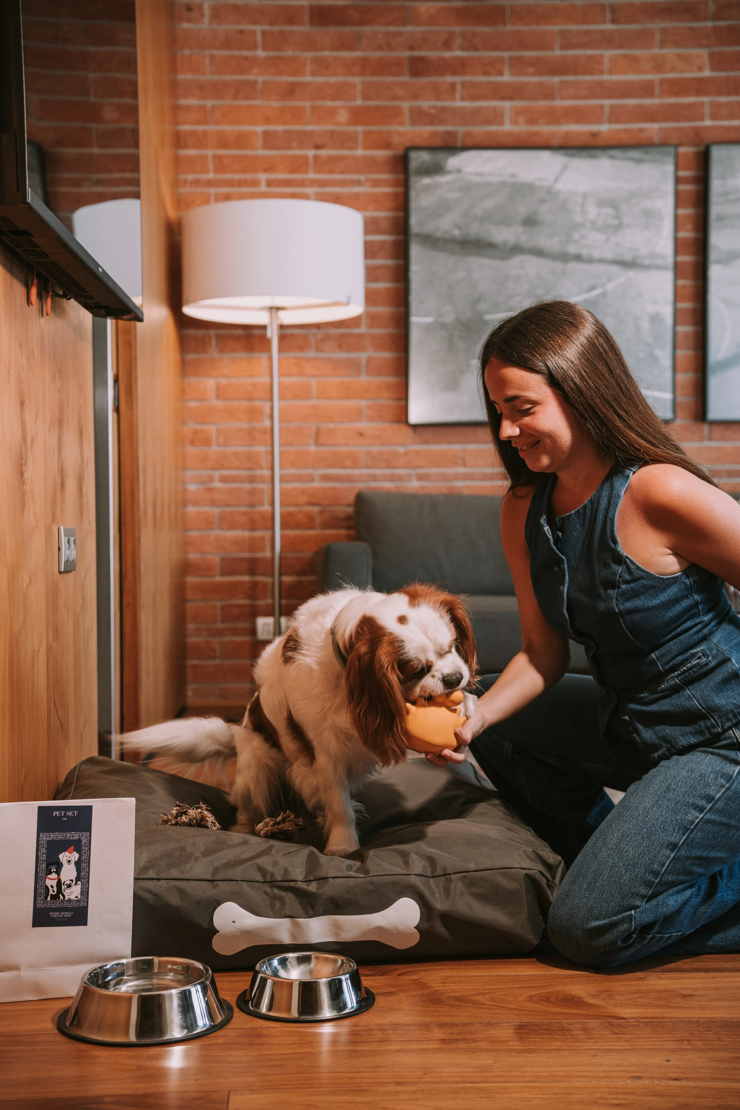 Huésped jugando con su perro en la habitación pet-friendly de Suites Avenue, Derby Hotels