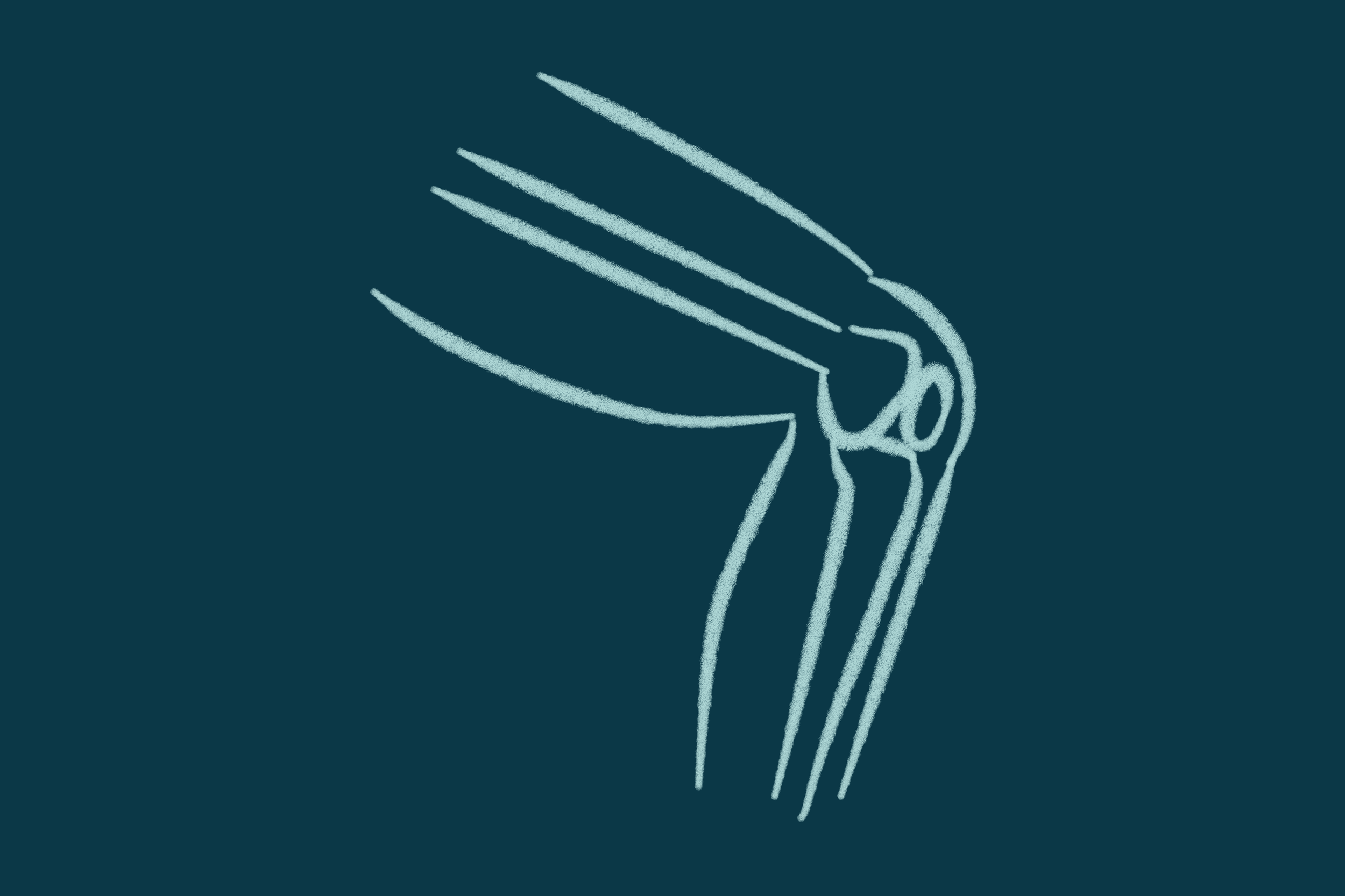 Musculotherapy techniques