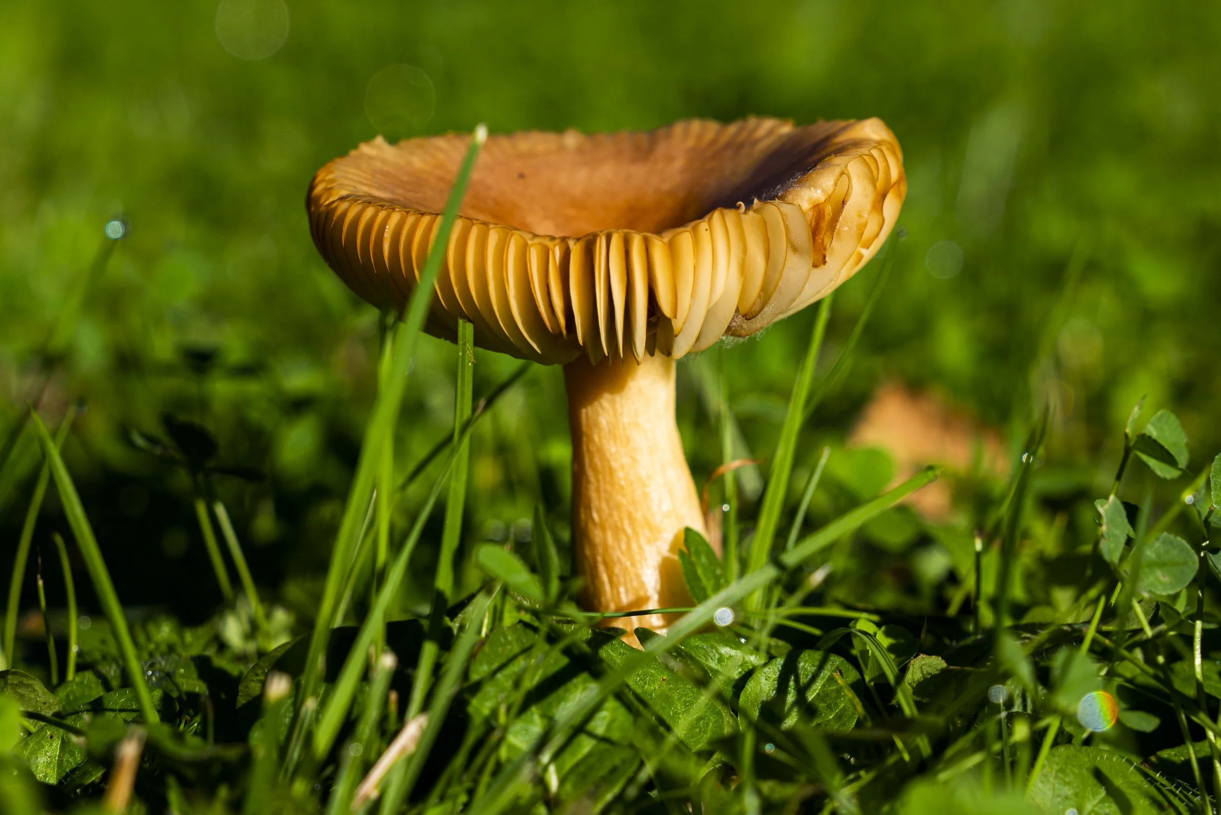 DSC04400.jpg